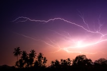 A striking image of a night sky filled with bright lightning bolts above a silhouette of palm trees and bushes. The sky is illuminated with shades of purple and orange, creating a dramatic and intense scene.
