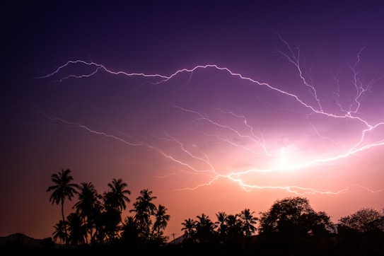 A striking image of a night sky filled with bright lightning bolts above a silhouette of palm trees and bushes. The sky is illuminated with shades of purple and orange, creating a dramatic and intense scene.