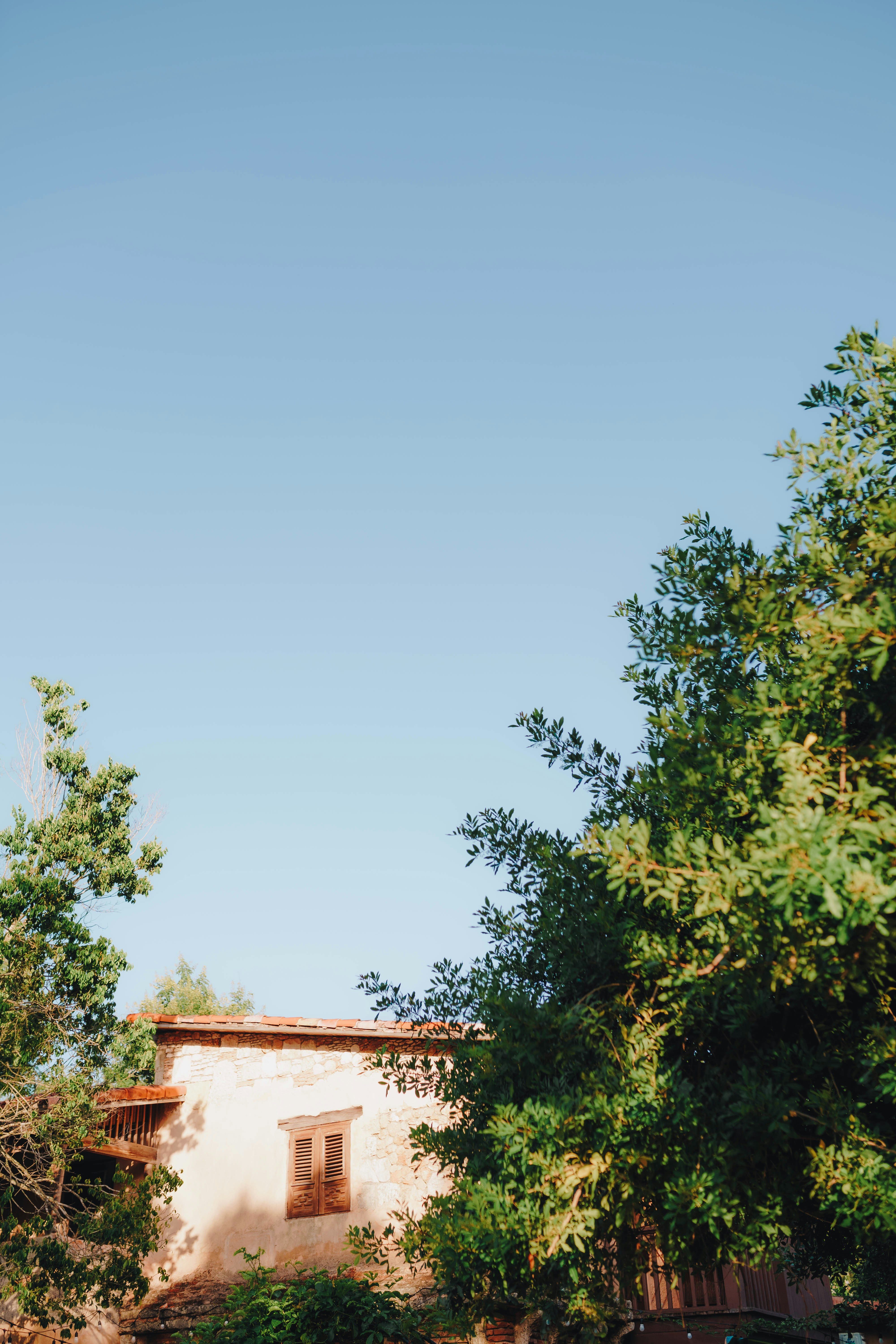 Photo by joellseverino