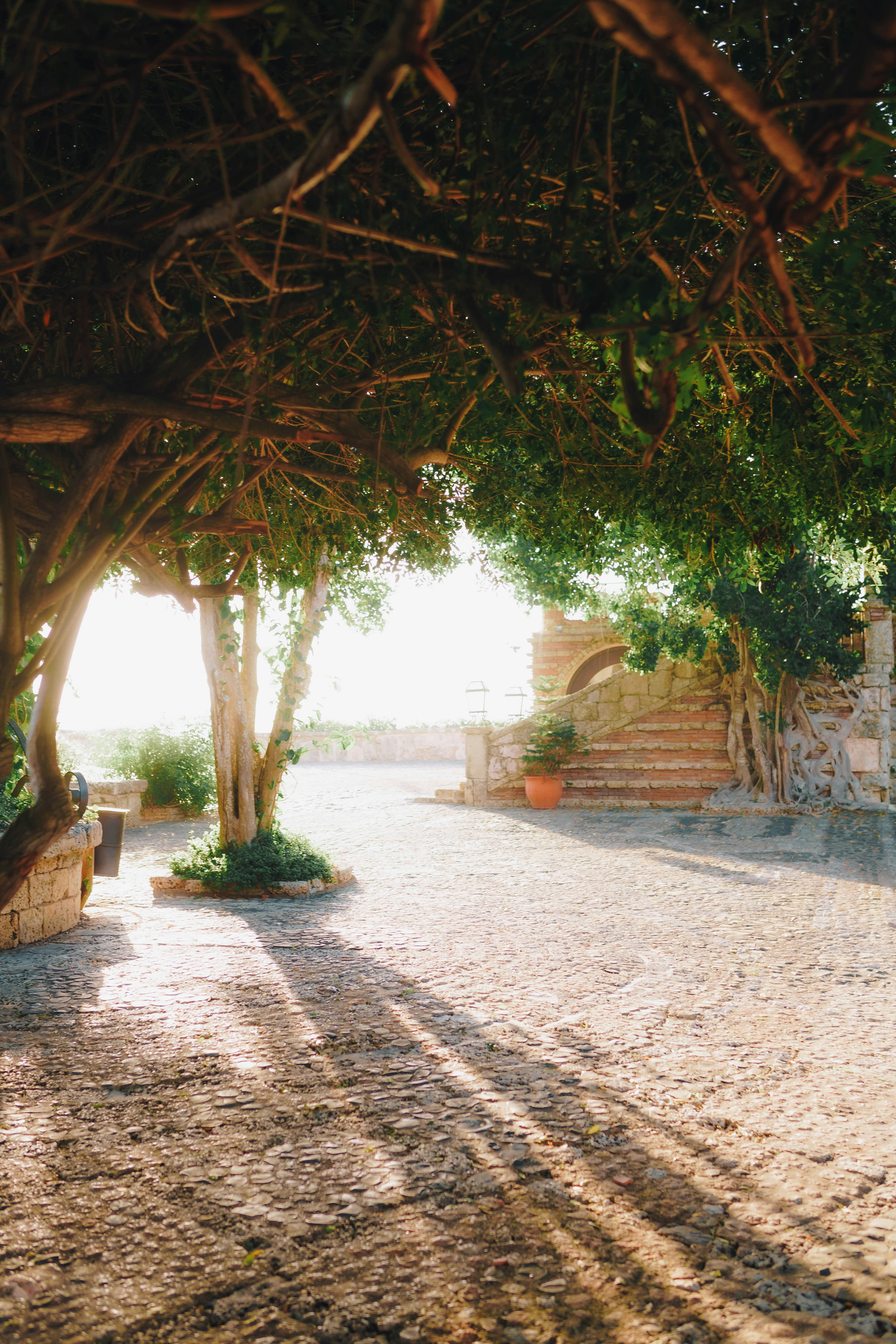 Photo by joellseverino