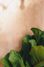 Finished elegant interior with beige and light gray tones accented by leaf green details.