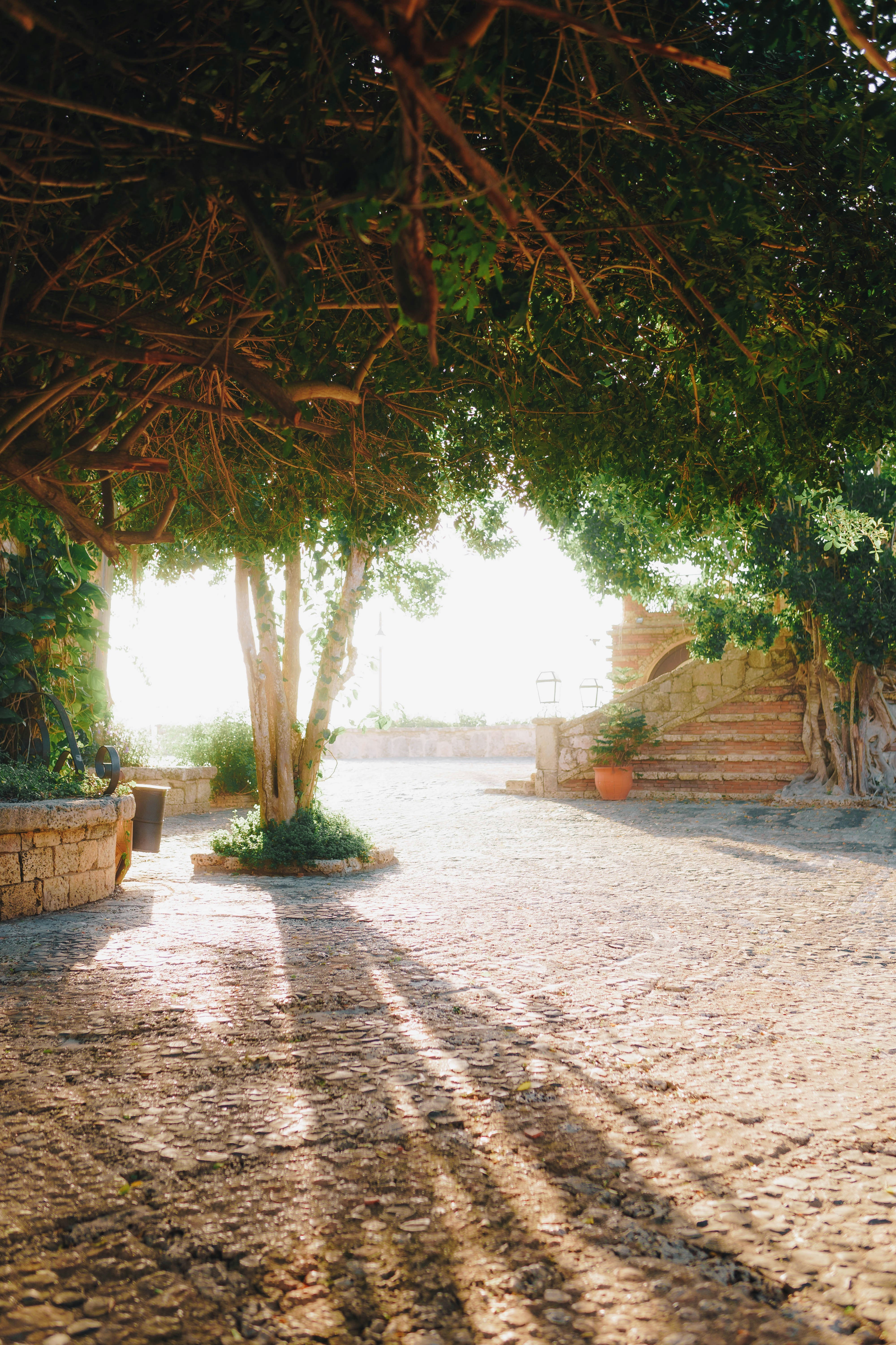 Photo by joellseverino