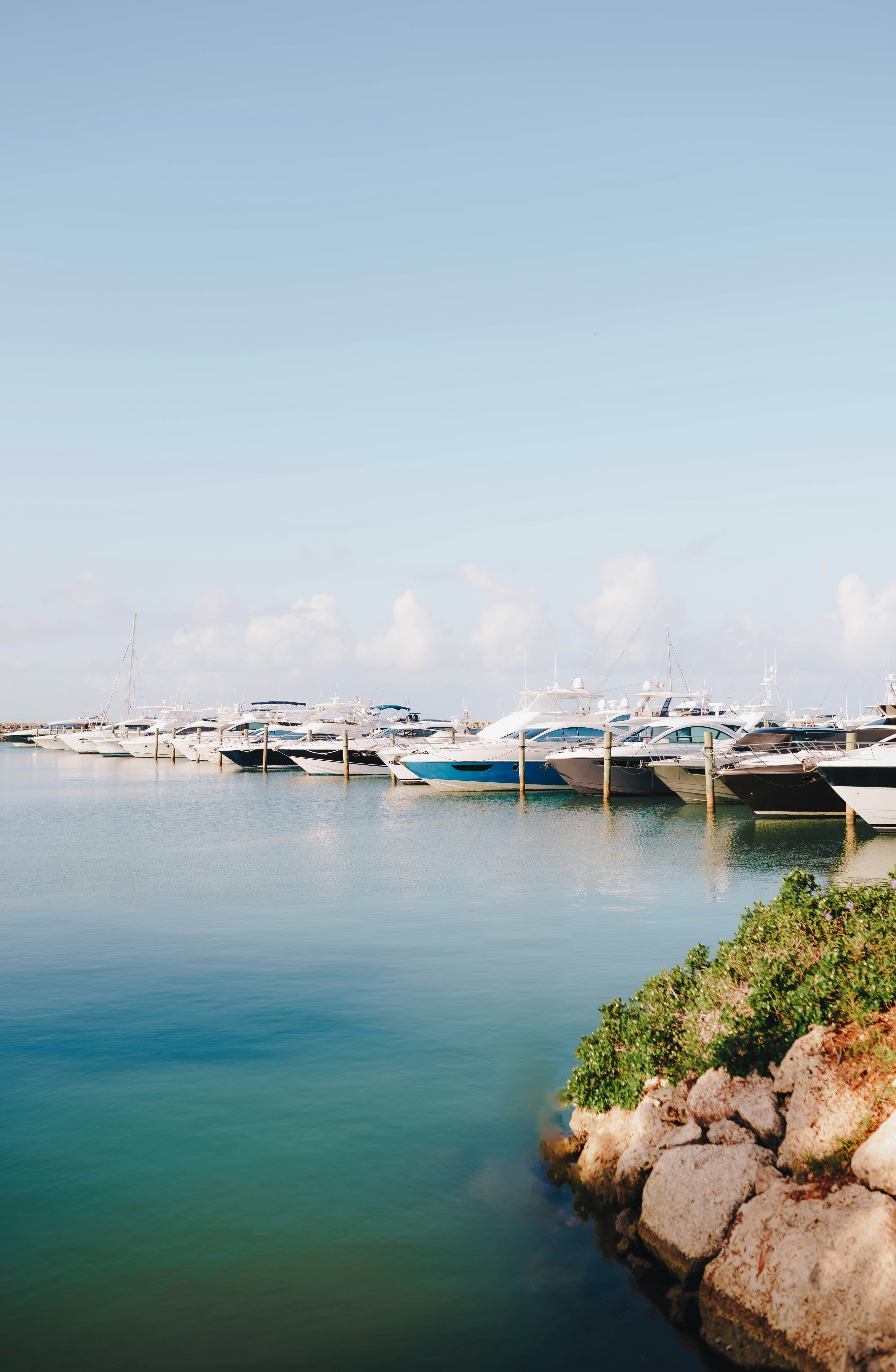 Photo by joellseverino