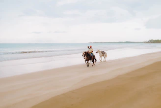 Couple horseback riding along a sandy beach under warm golden light.