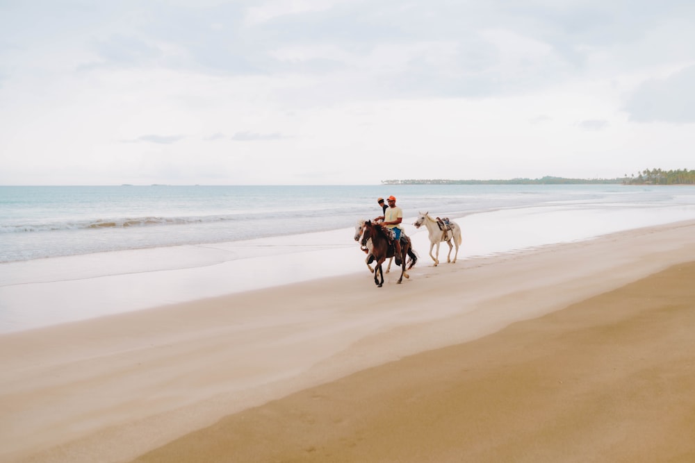 two people riding horses on a beach next to the ocean