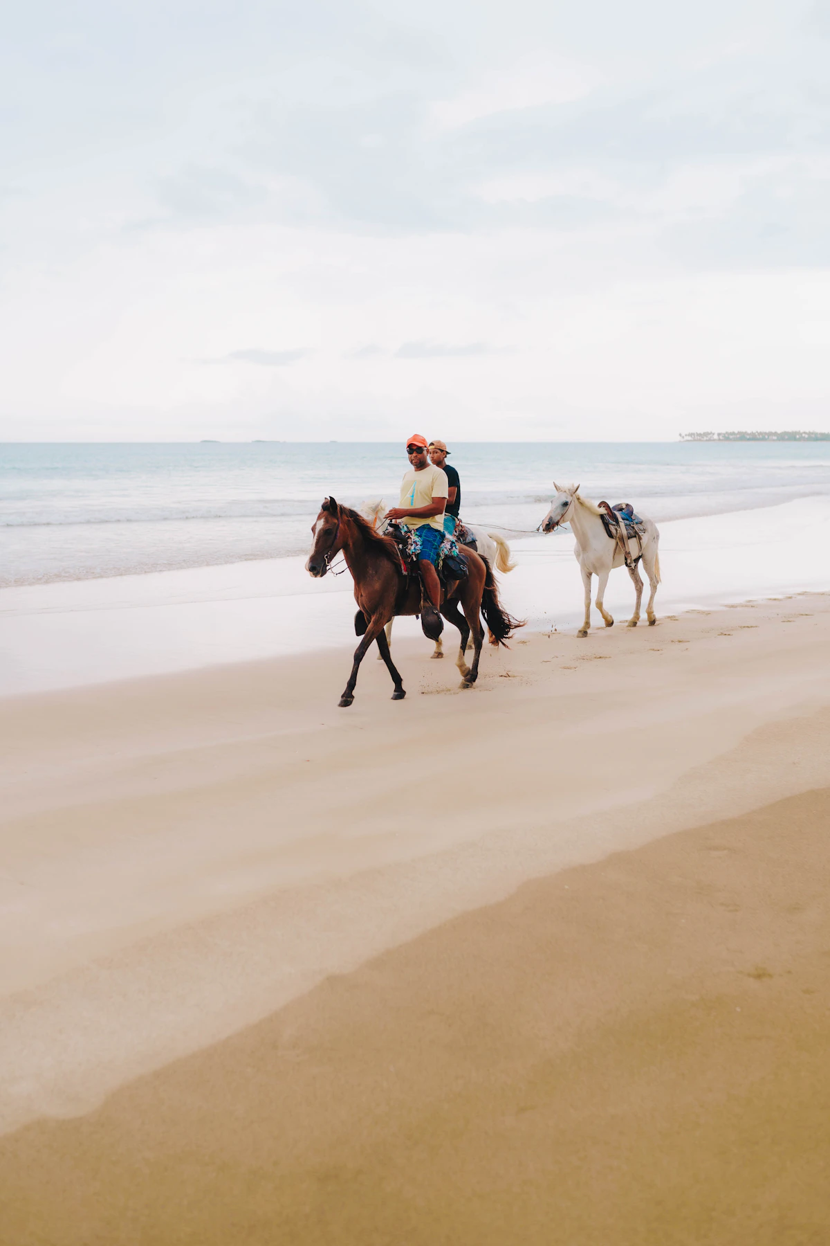 Horseback Riding / Paseo a Caballo