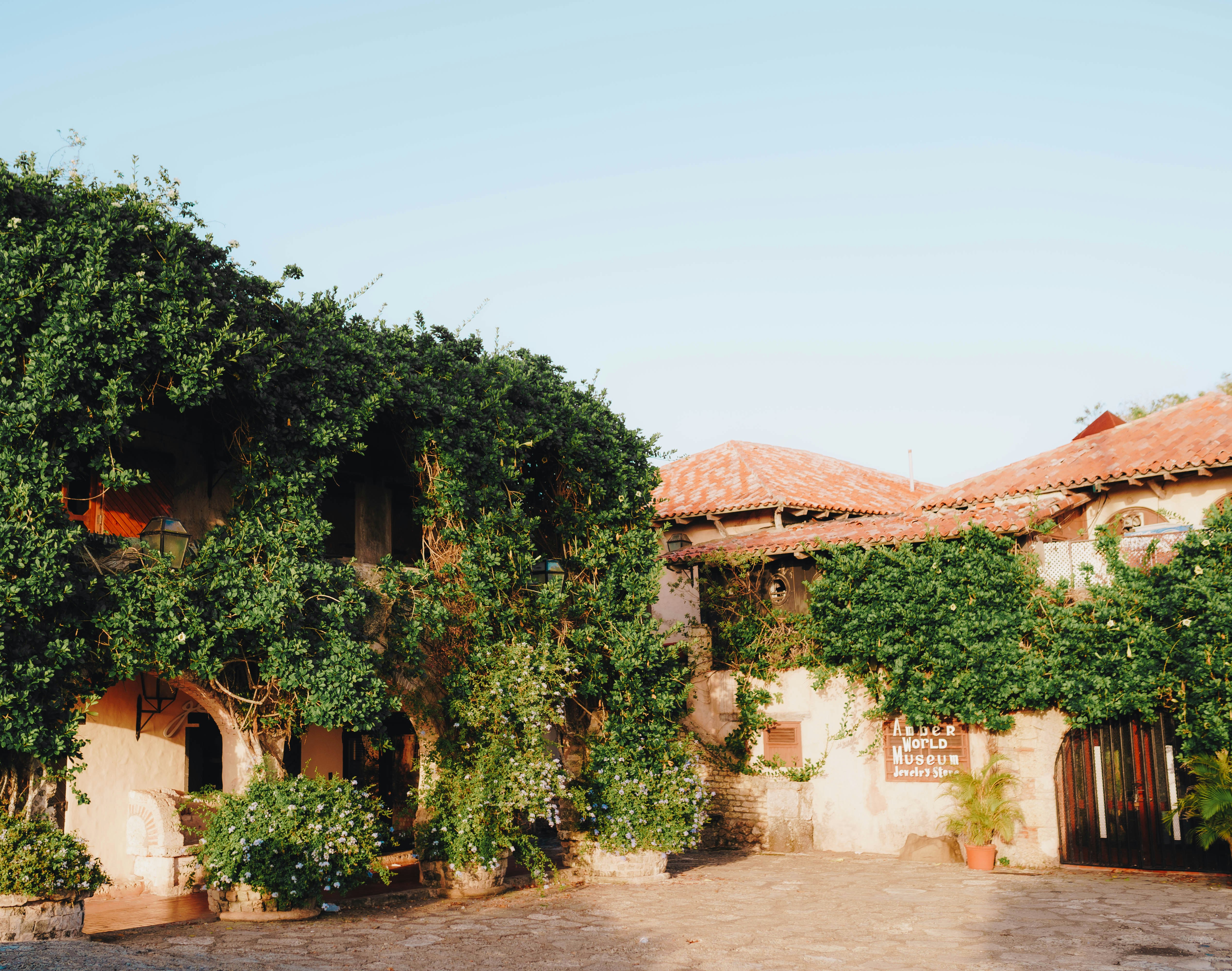 Photo by joellseverino