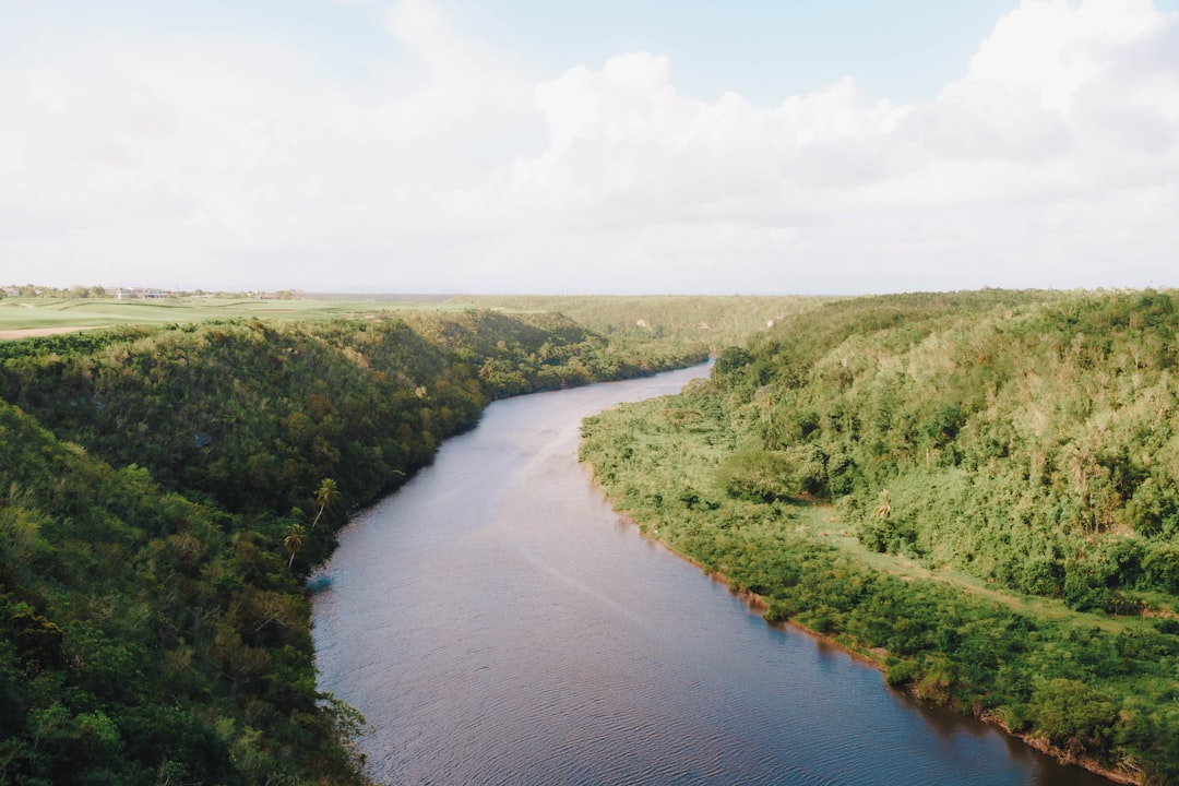 a river running through a lush green forest,