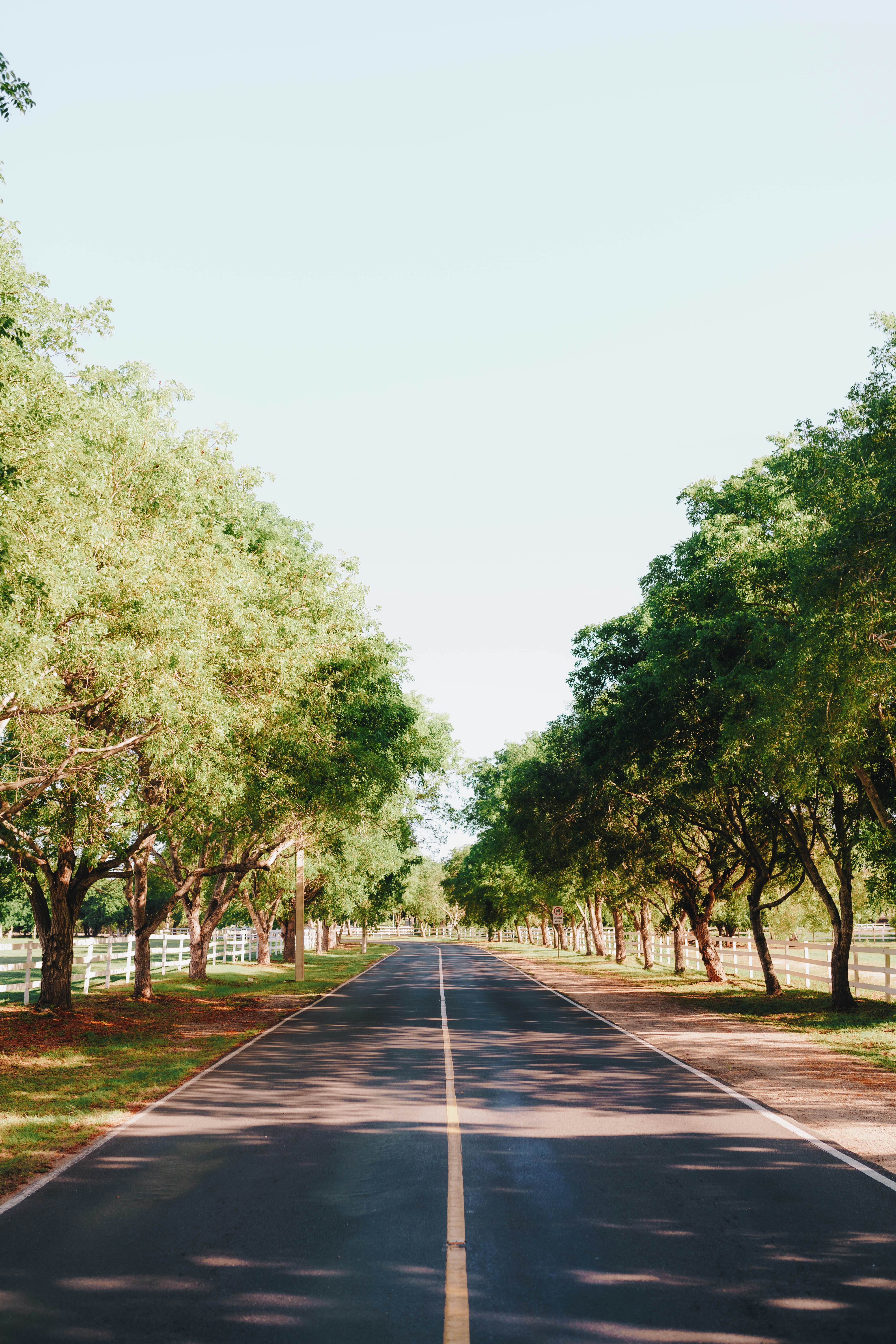 Photo by joellseverino