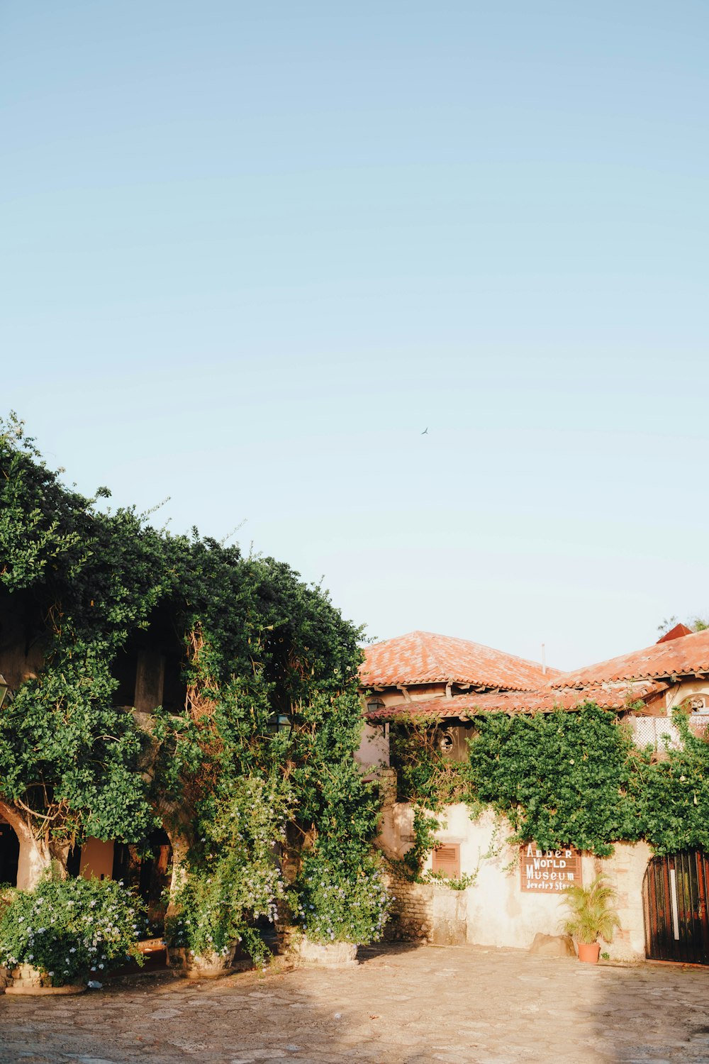 a building with vines growing on the side of it