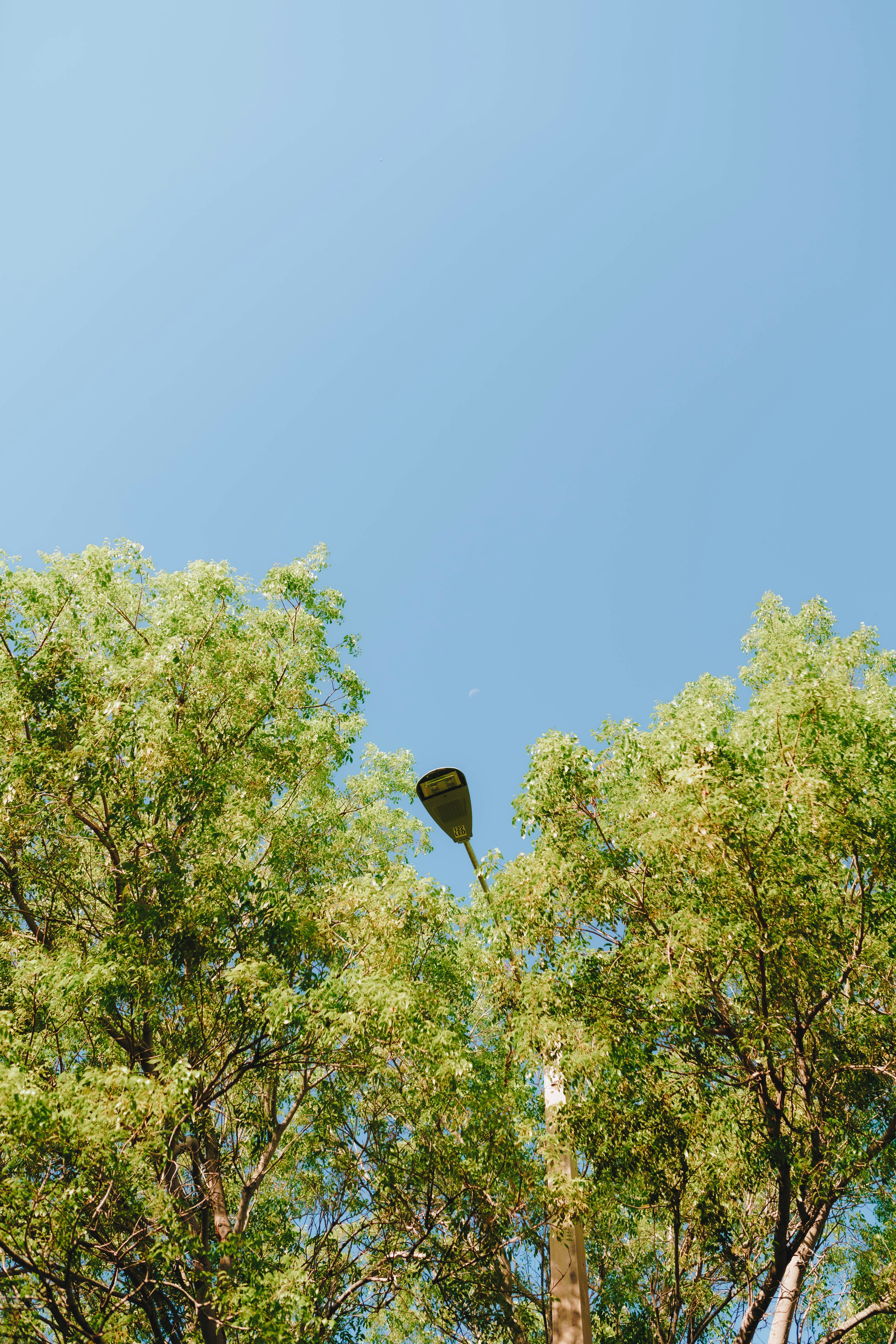 A kite flying high in the sky