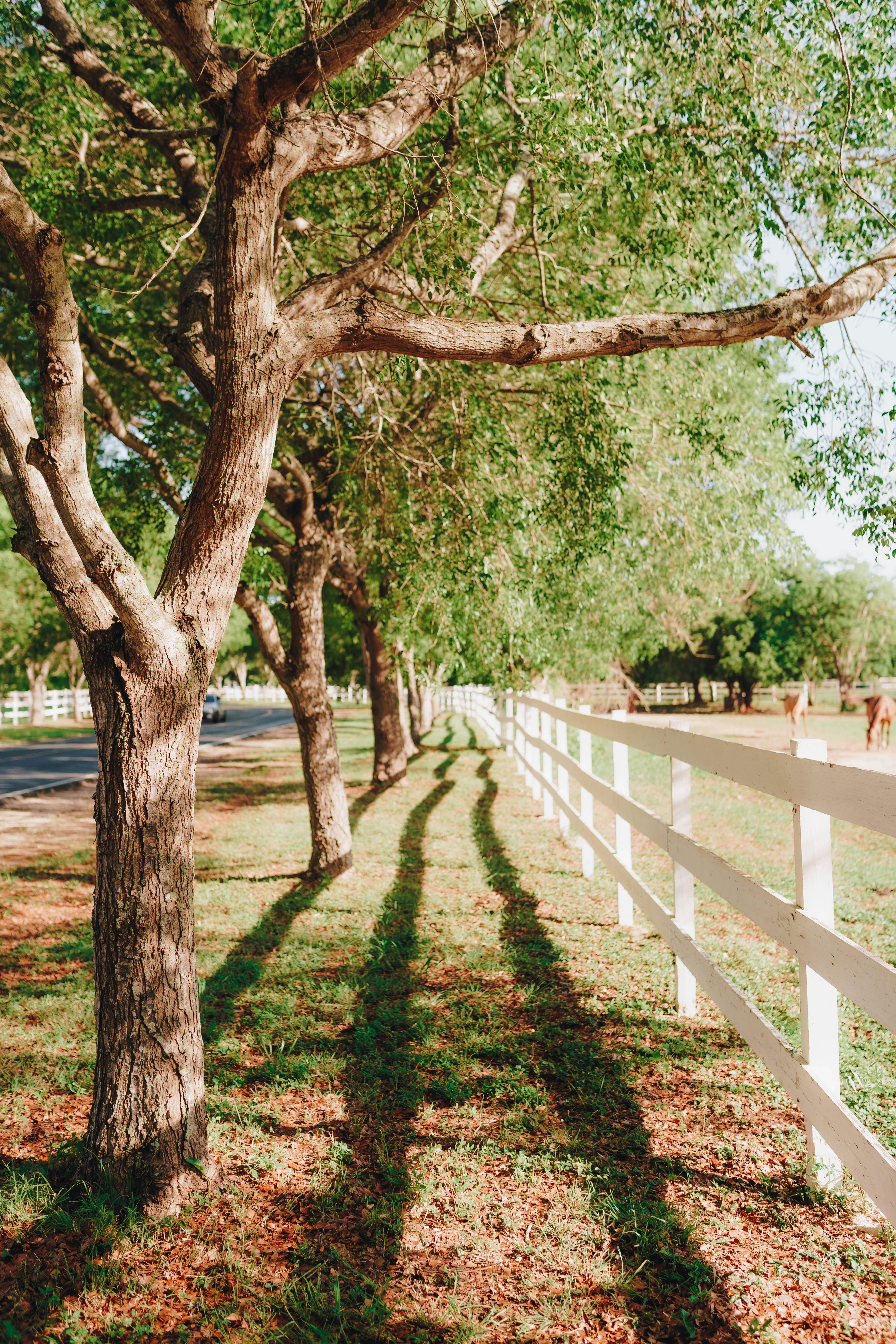 Photo by joellseverino