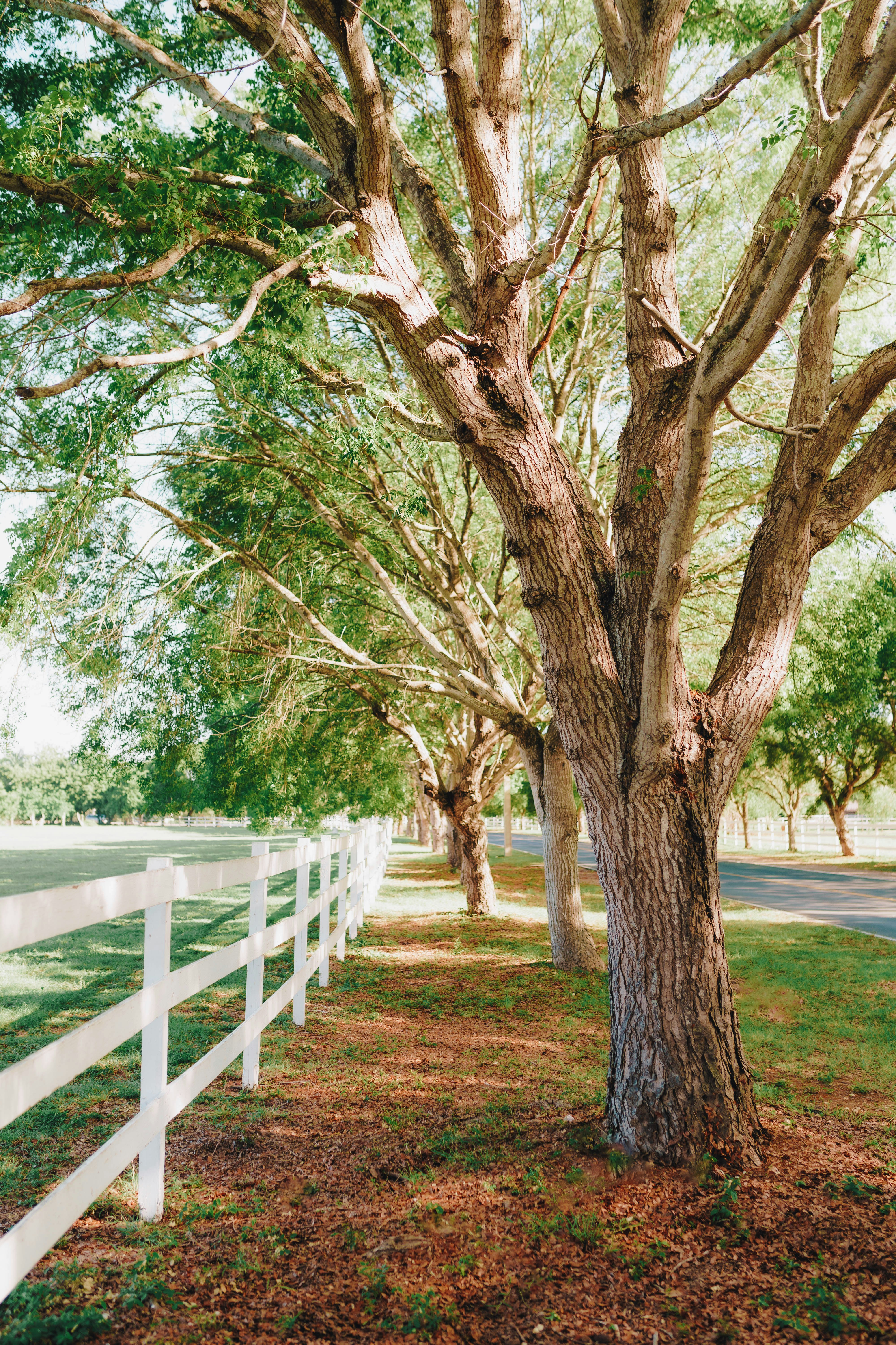 Photo by joellseverino