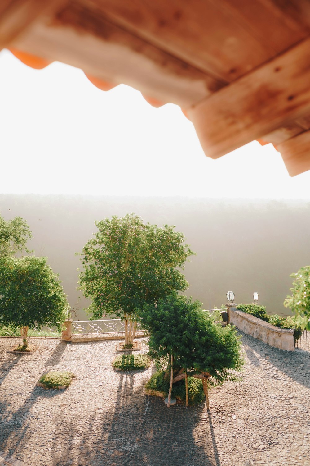 a view of some trees from a roof