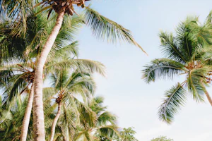 Las Terrenas