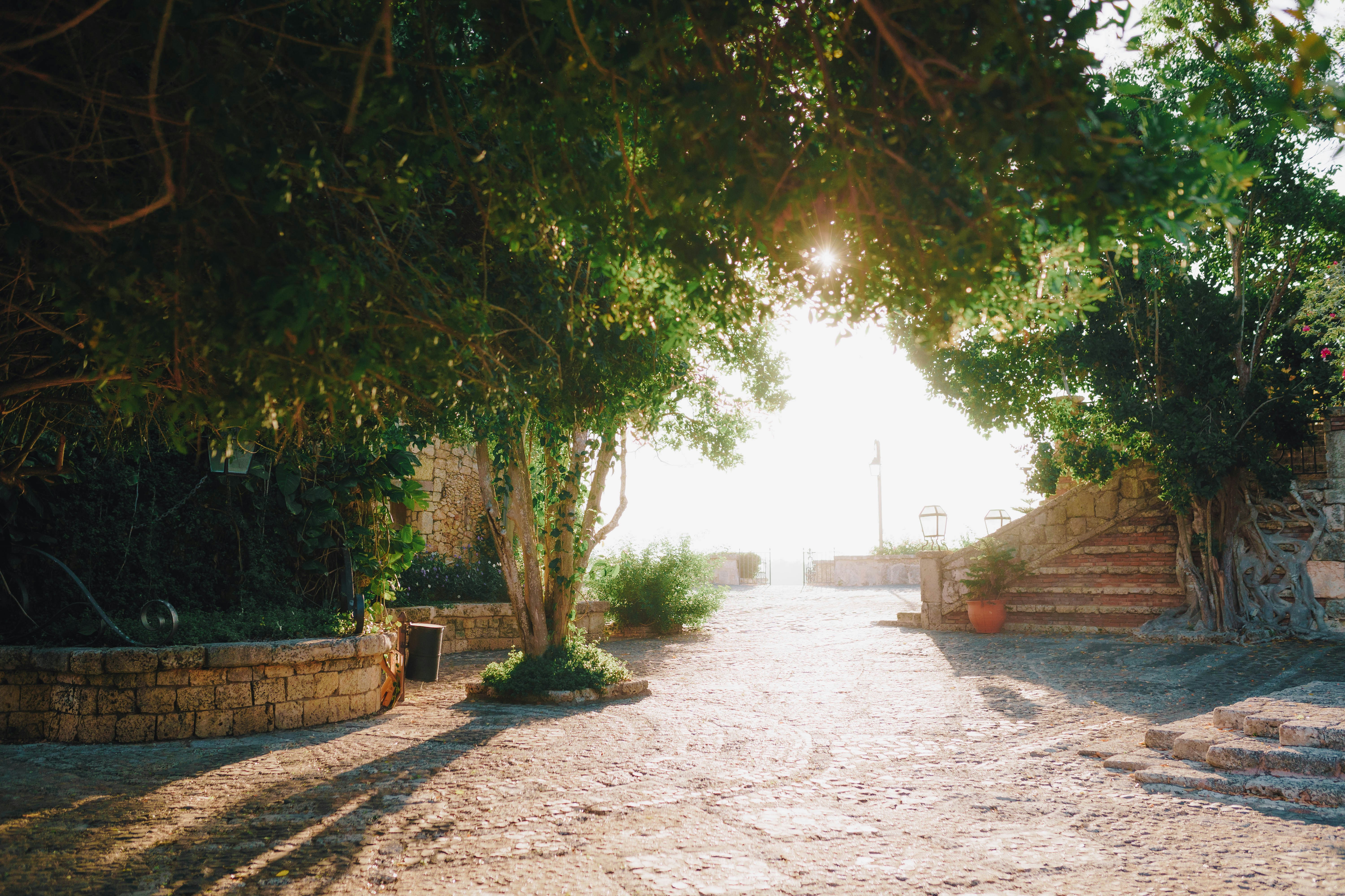 Photo by joellseverino