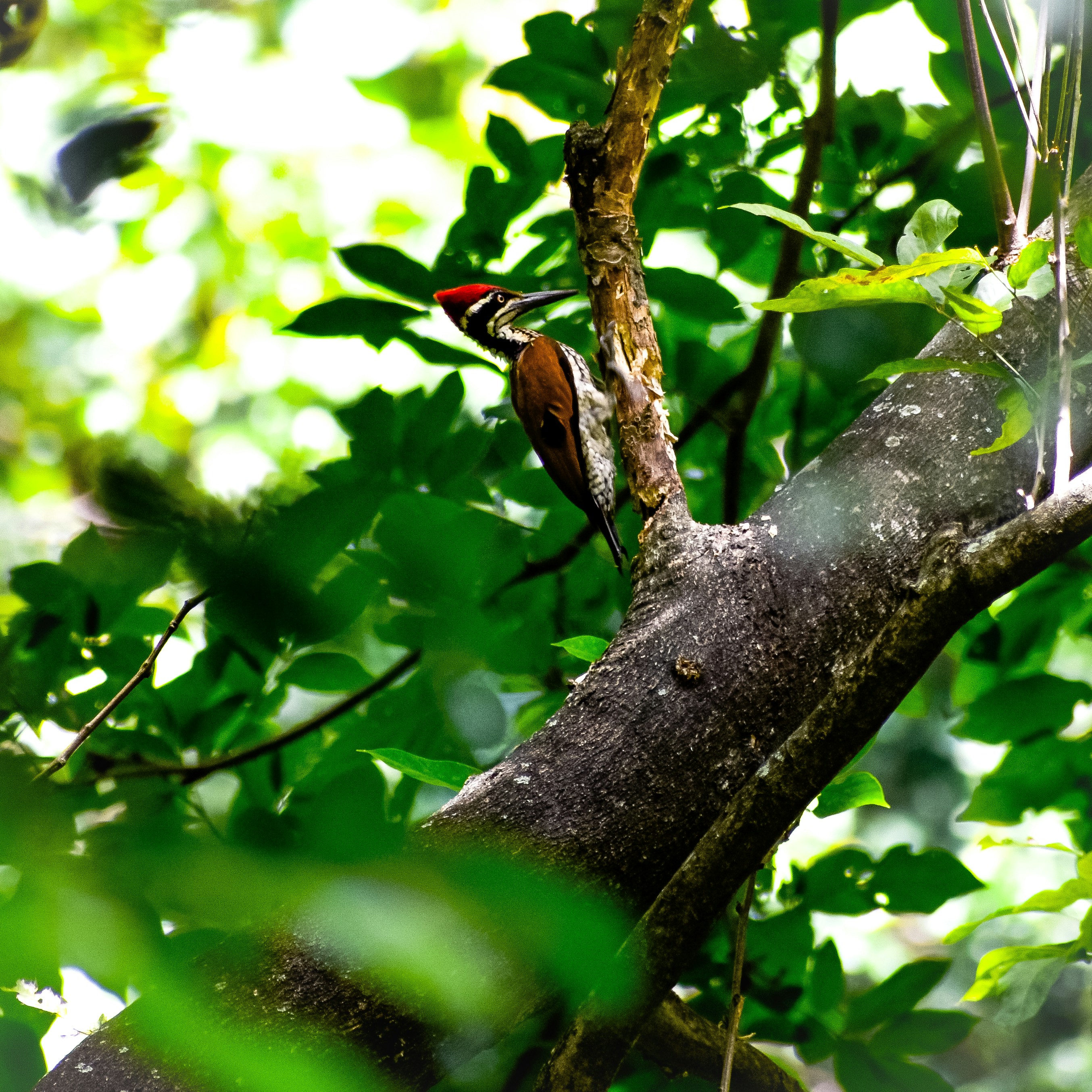 Photo by ganeshkulasekara1879