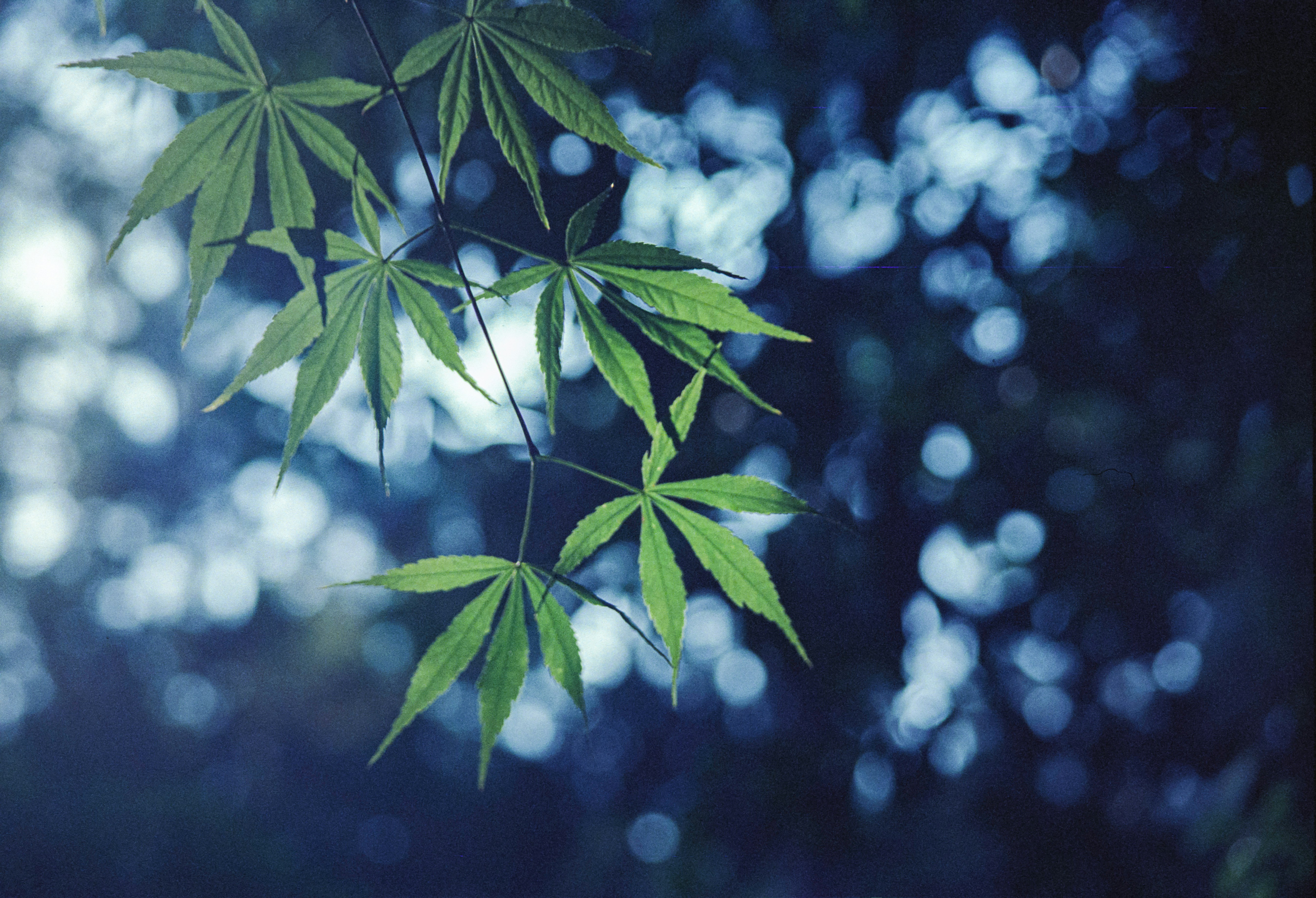 Photo by kevinwang413156