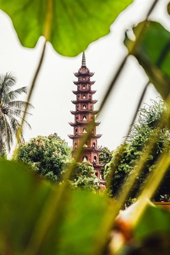 a tall tower sitting next to a lush green forest