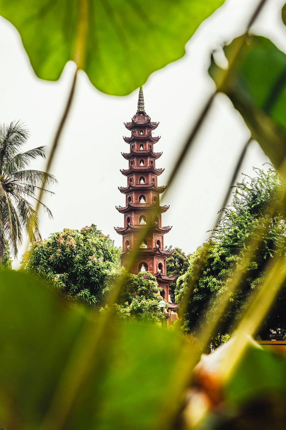 a tall tower sitting next to a lush green forest