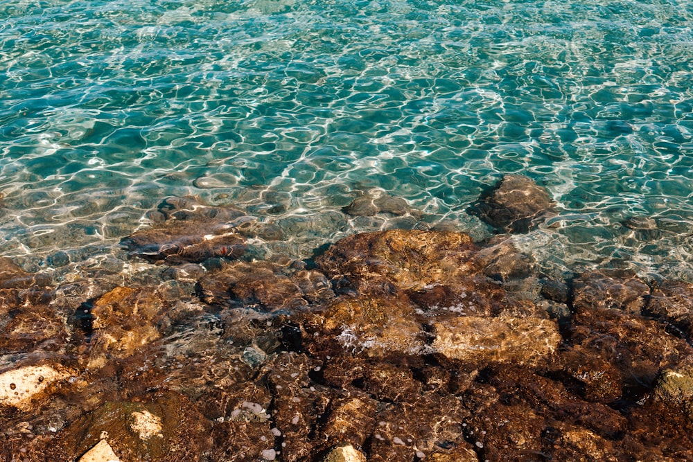 a body of water that has some rocks in it