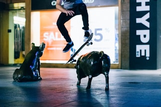 A skateboarder performing a trick in an urban setting, jumping over bronze pig sculptures on the sidewalk. The background displays a store window with a bright sale sign and letters forming the word 'HYPE' on the right.