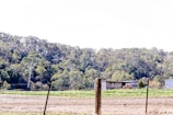 A rural landscape featuring a large expanse of crop fields in the foreground, a few scattered buildings including a large barn or shed, and a line of dense, mature trees in the background. The field appears freshly tilled, with green crops starting to grow in places. The sky is partially visible, suggesting daytime with a clear or slightly overcast weather.