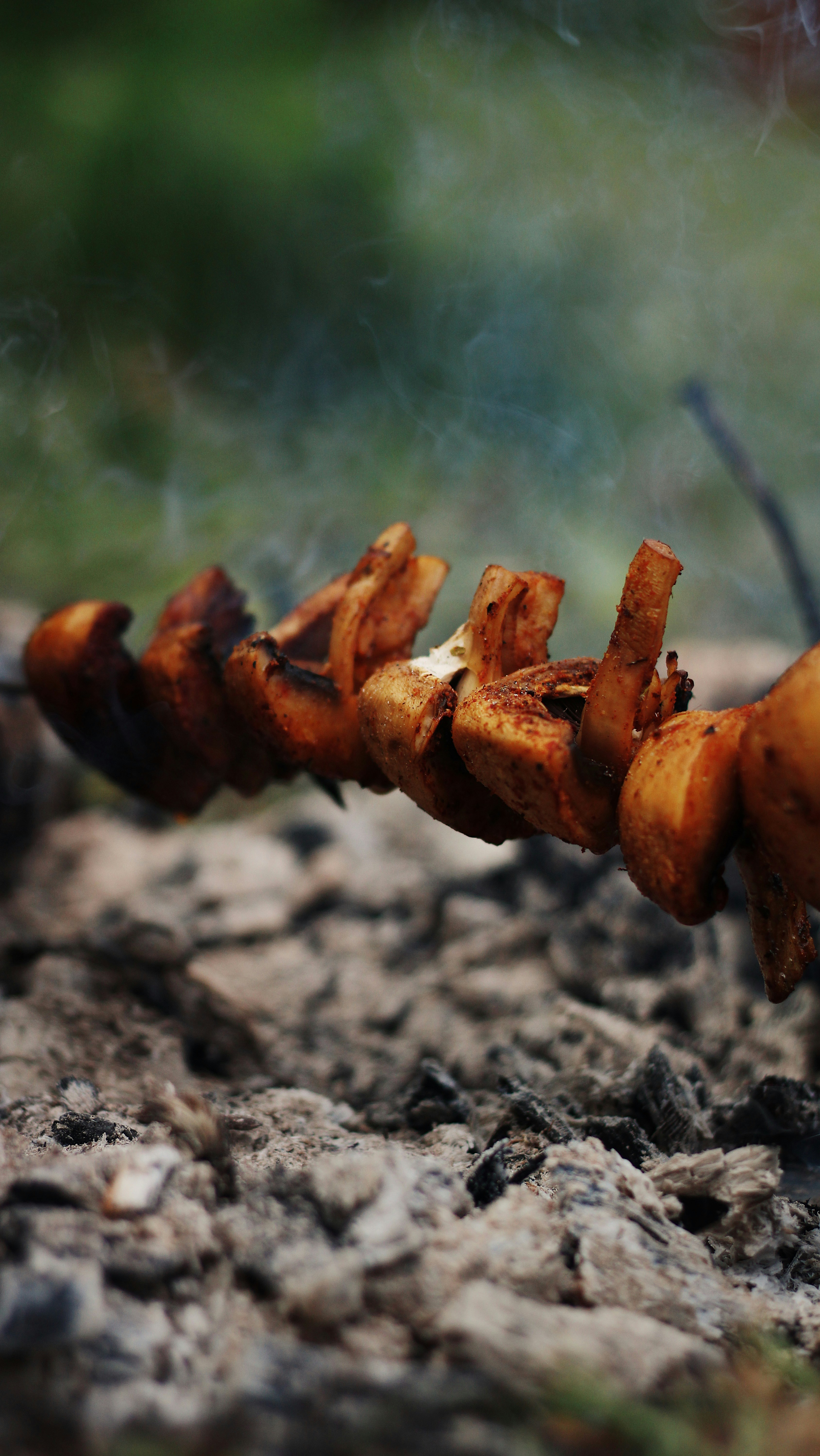 a close up of a skewer of food on a grill