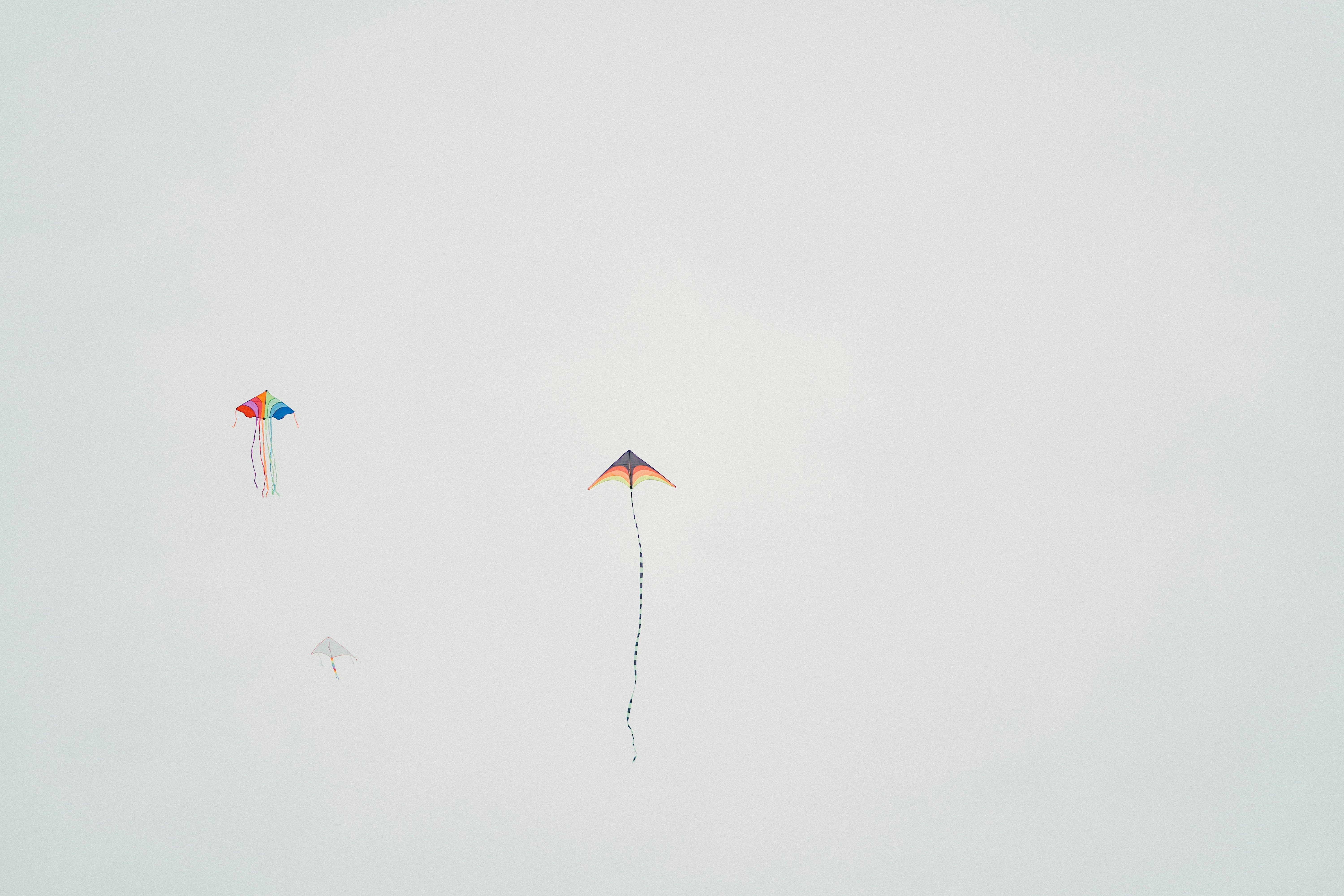 空を飛ぶ凧のグループ