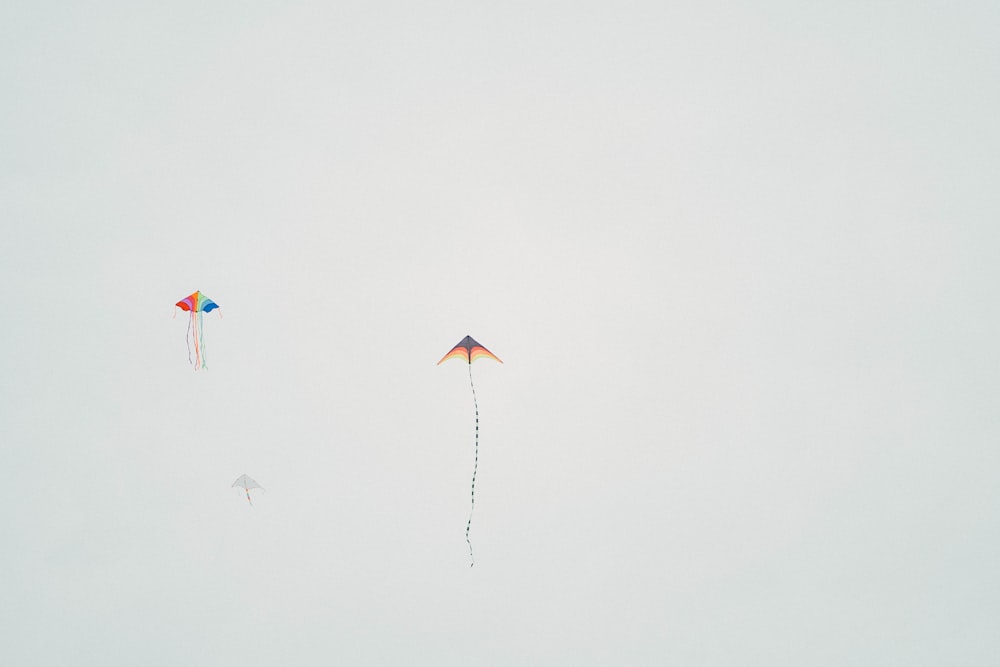 空を飛ぶ凧のグループ