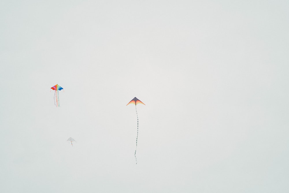 a group of kites flying in the sky