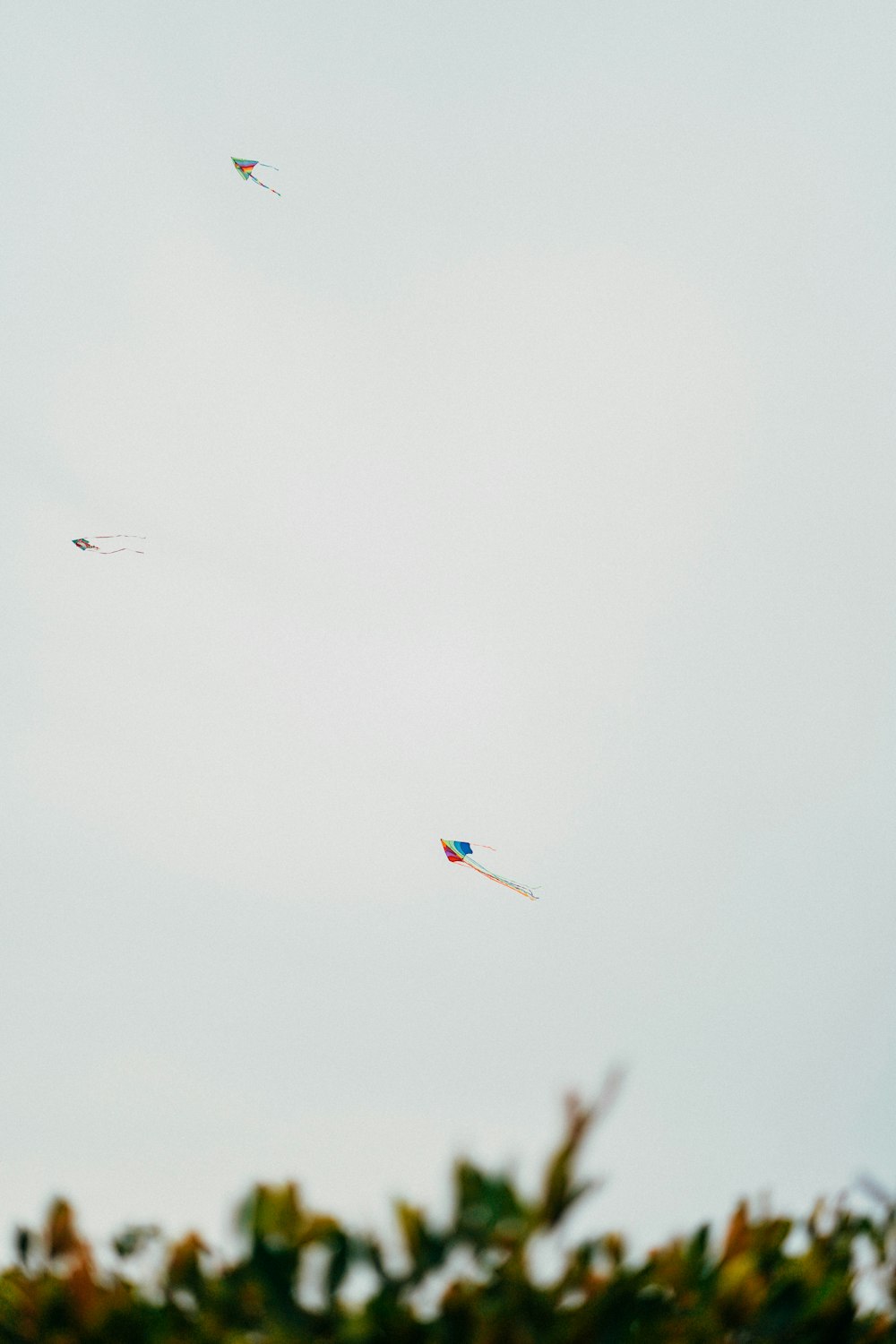 um grupo de pipas voando através de um céu nublado