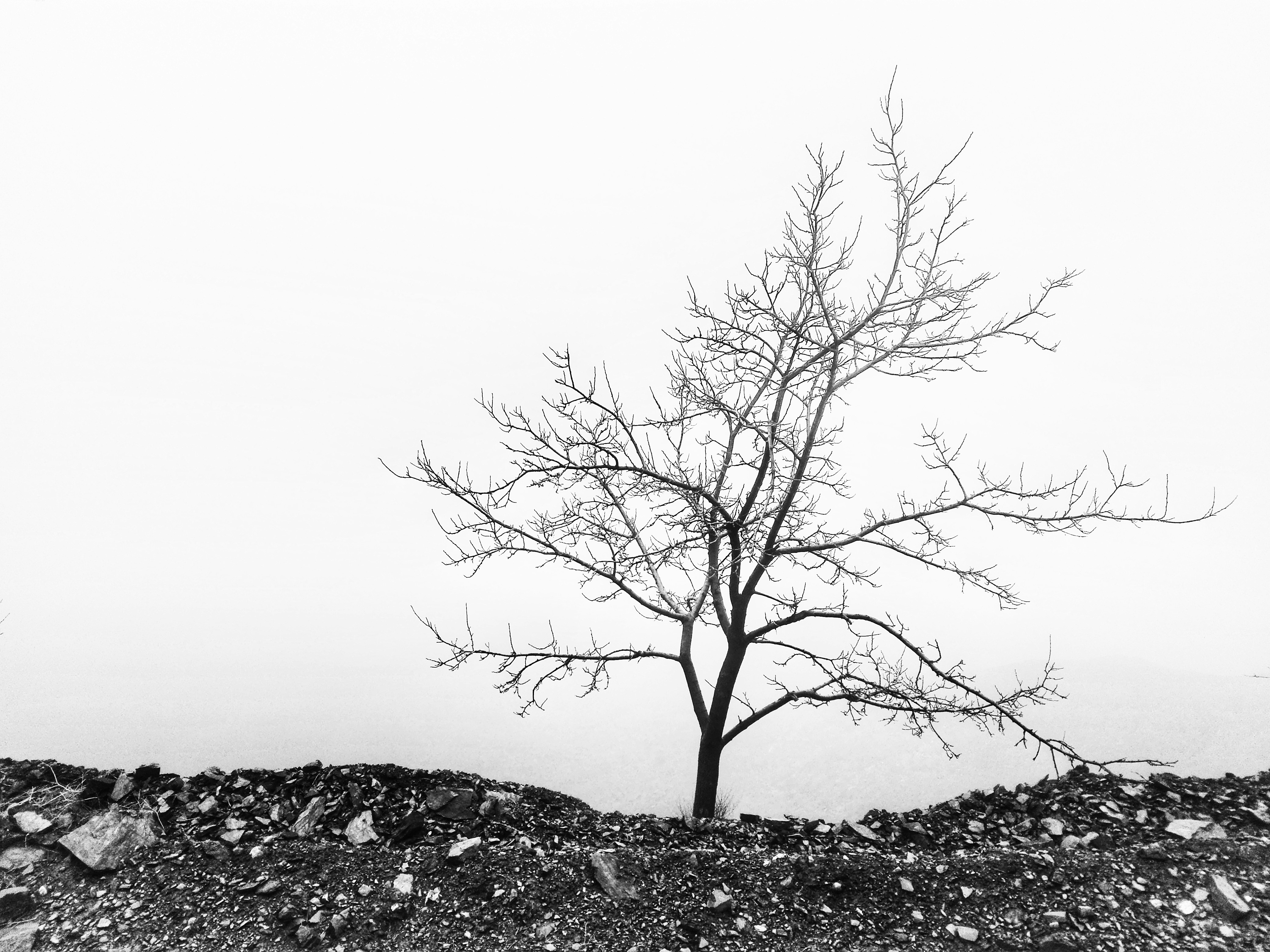 Photo by heydarnejad