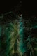 a black background with green and yellow speckles