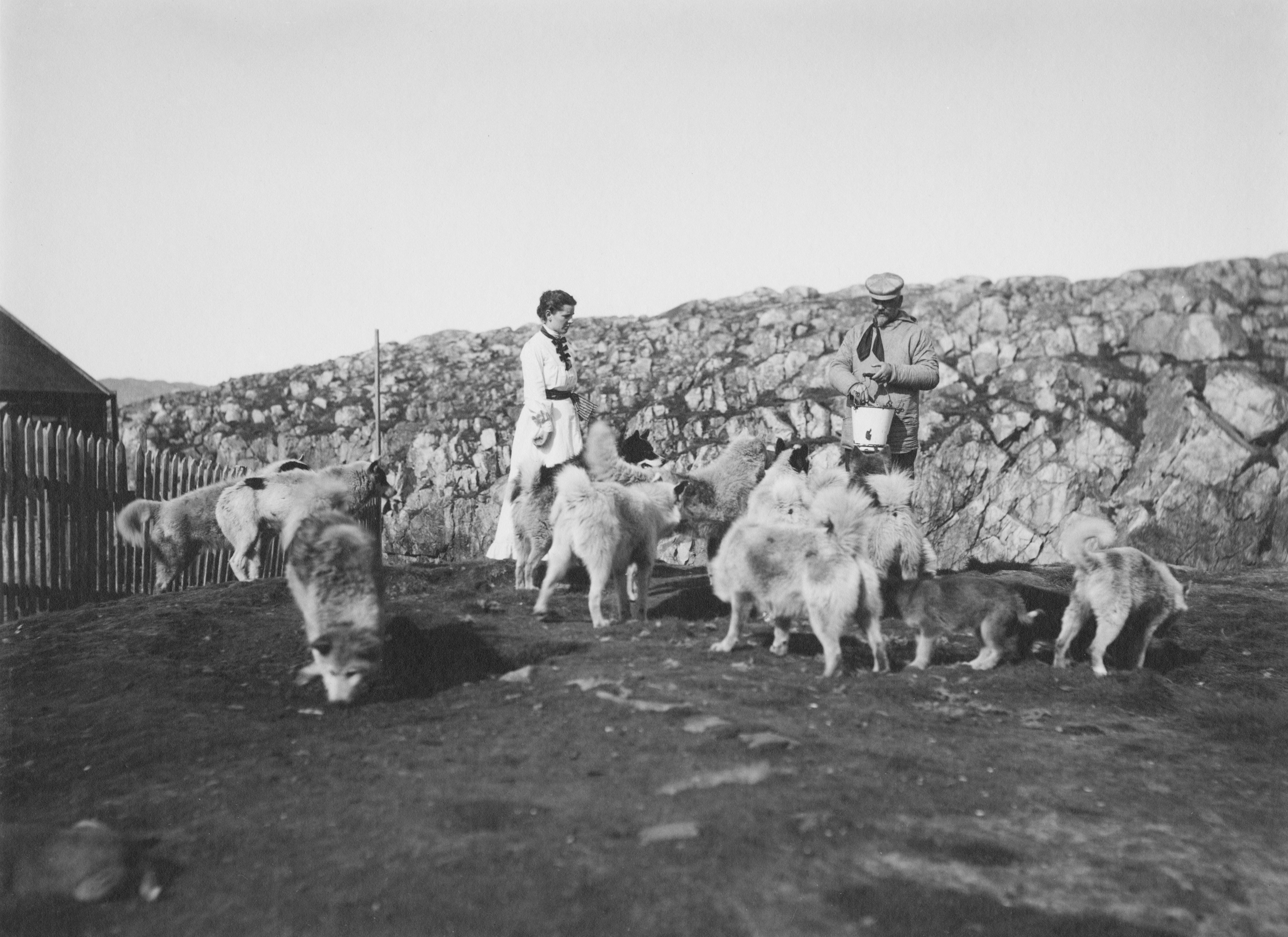 Two people feed a pack of husky dogs on a hillside.