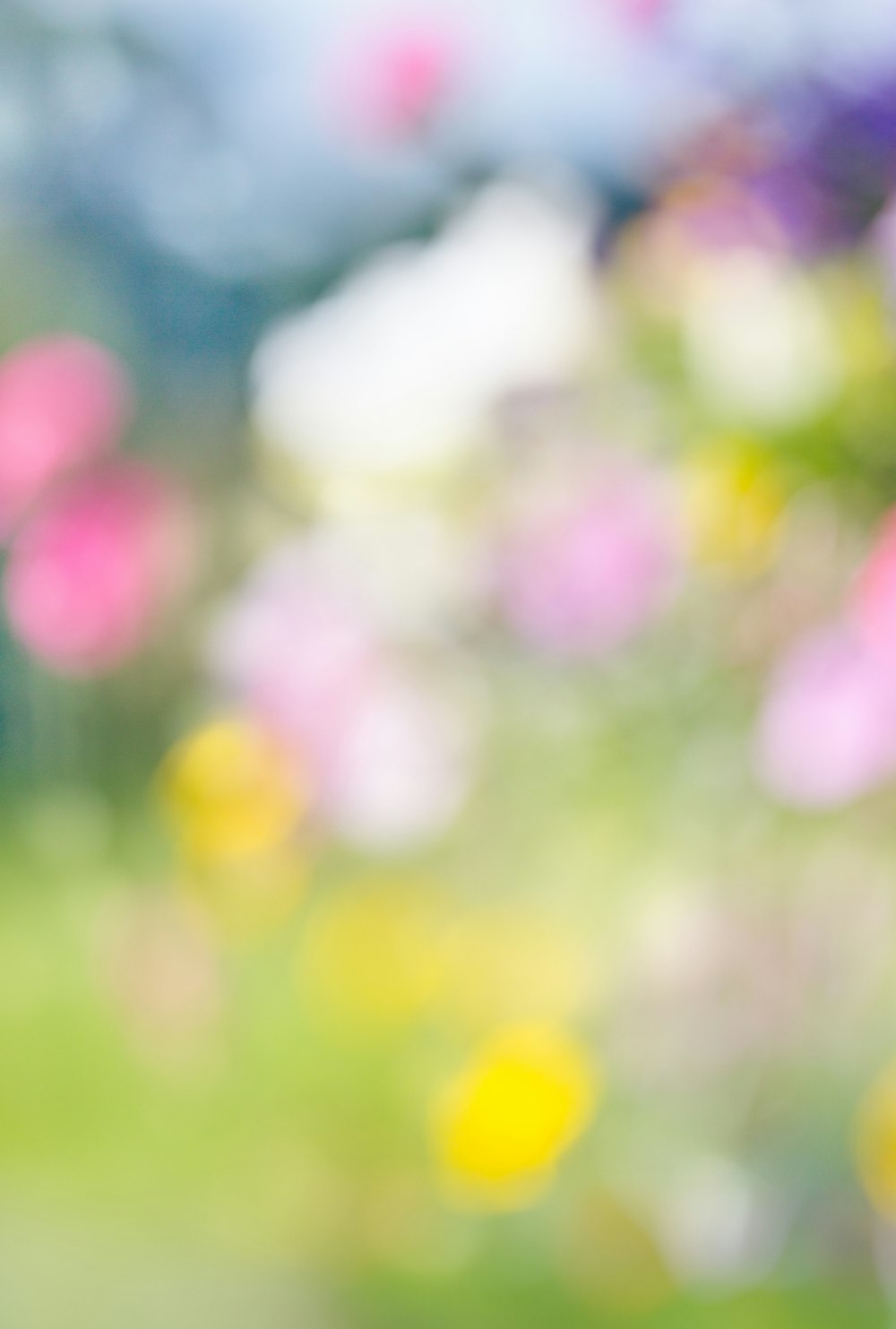 a blurry photo of a bunch of flowers