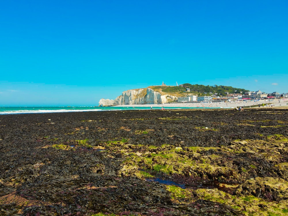 a sandy beach with a cliff in the background