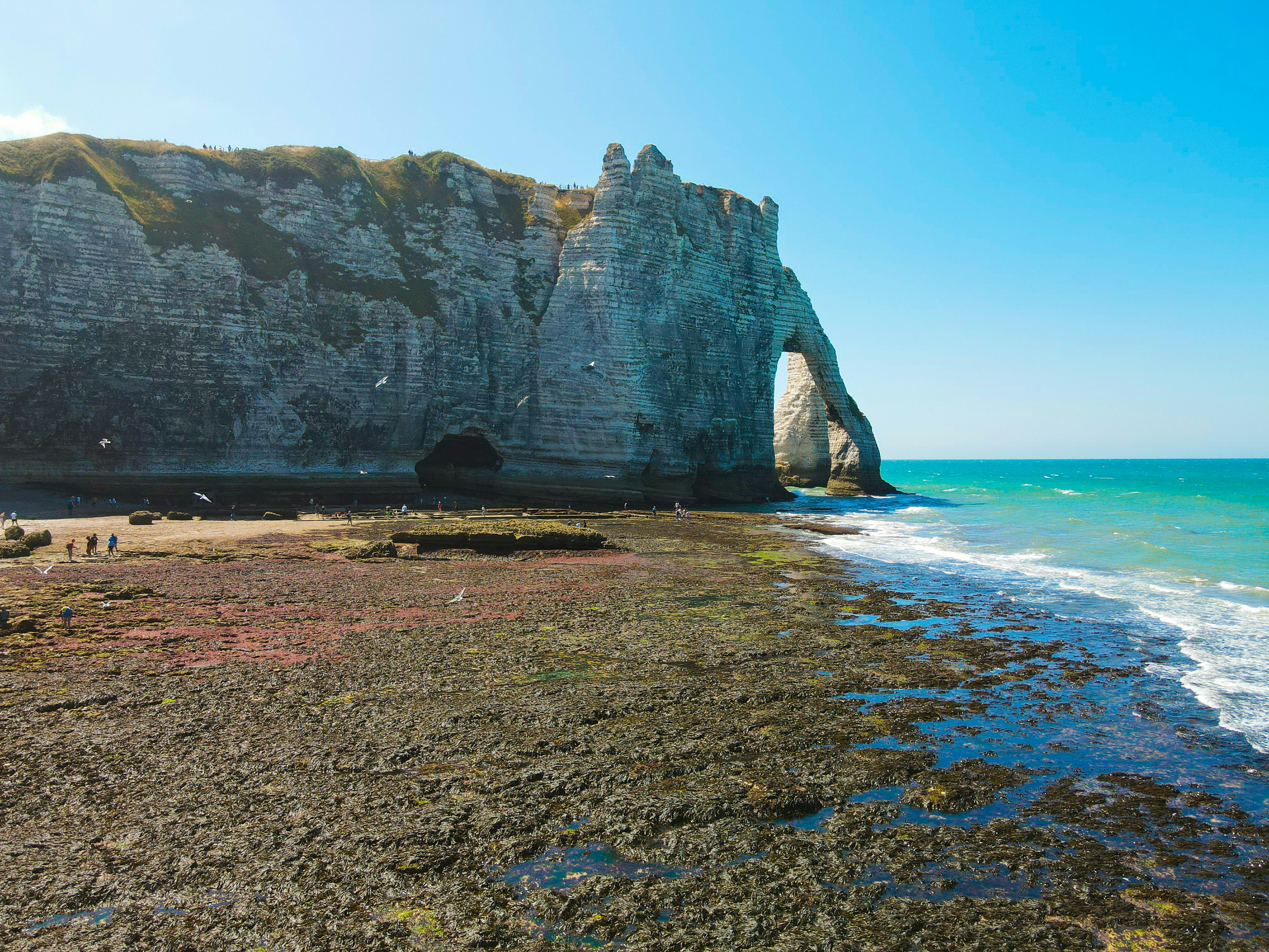 Photo by florian_delee