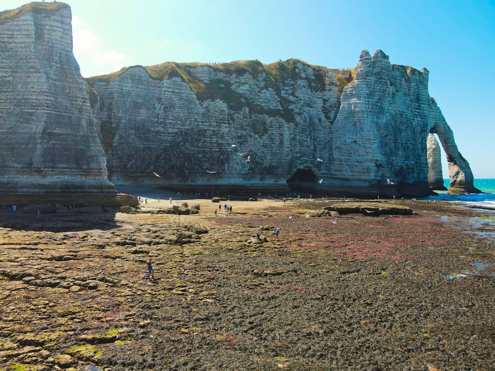 a large rock formation on a beach near the ocean