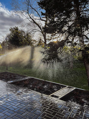 Natural sunlight streaming over a polished Aps sprinkler ready for shipping.