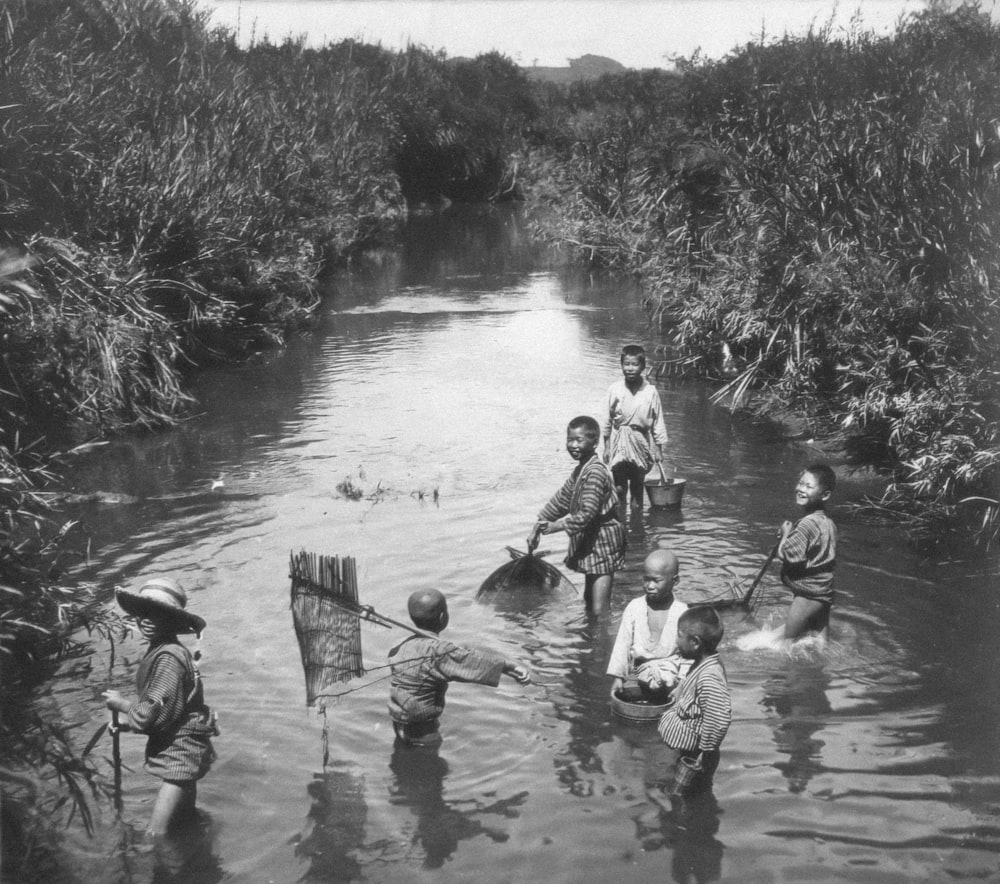 a group of people standing in a river next to a forest