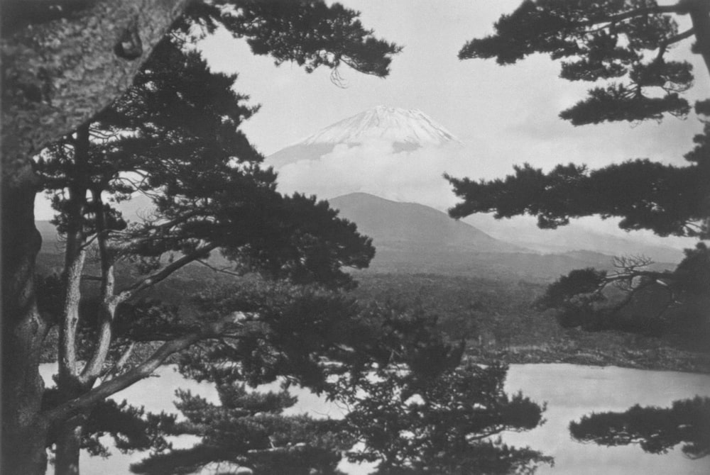 a black and white photo of trees and a mountain