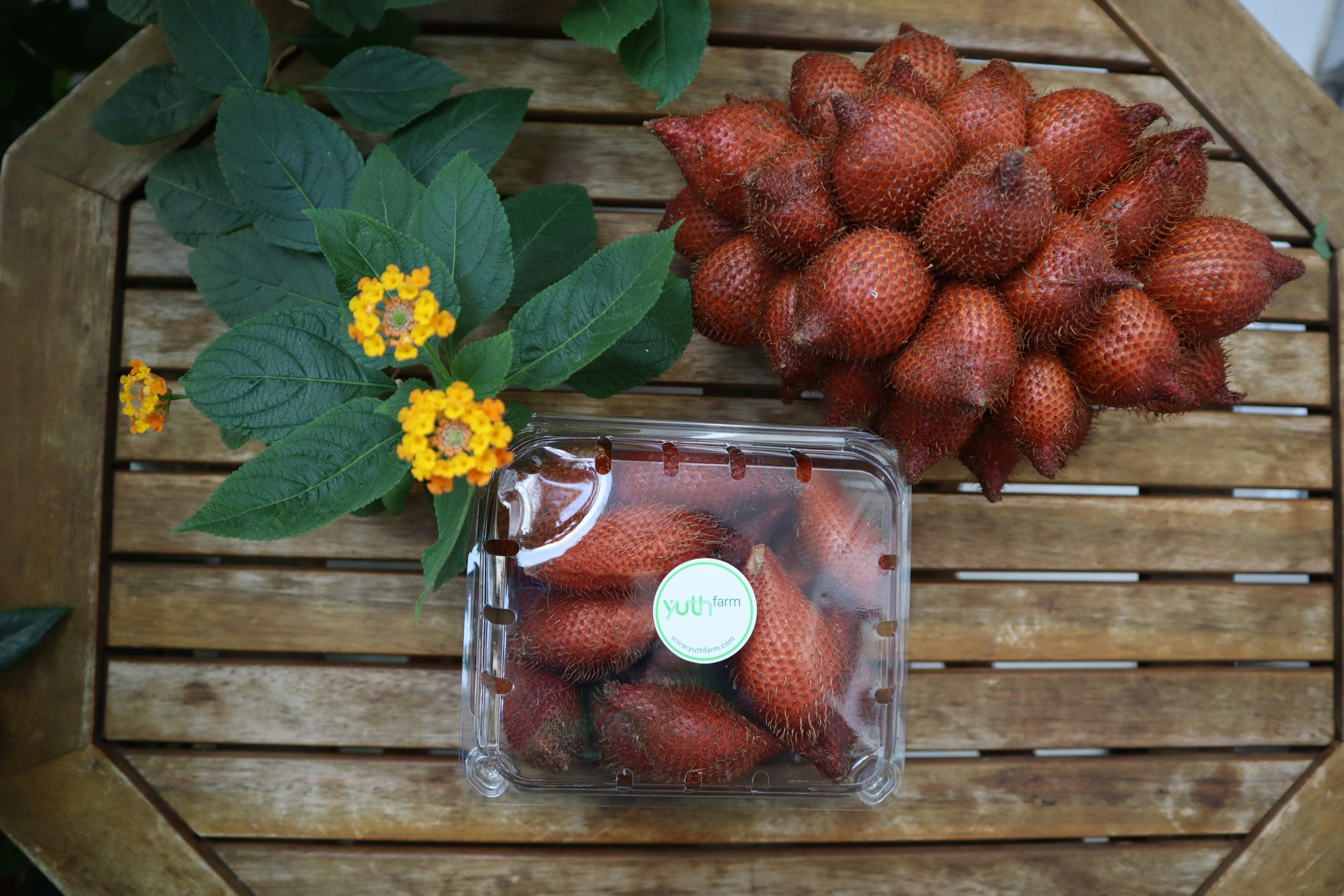 Cara Memilih Buah Salak yang Bagus di Pasar