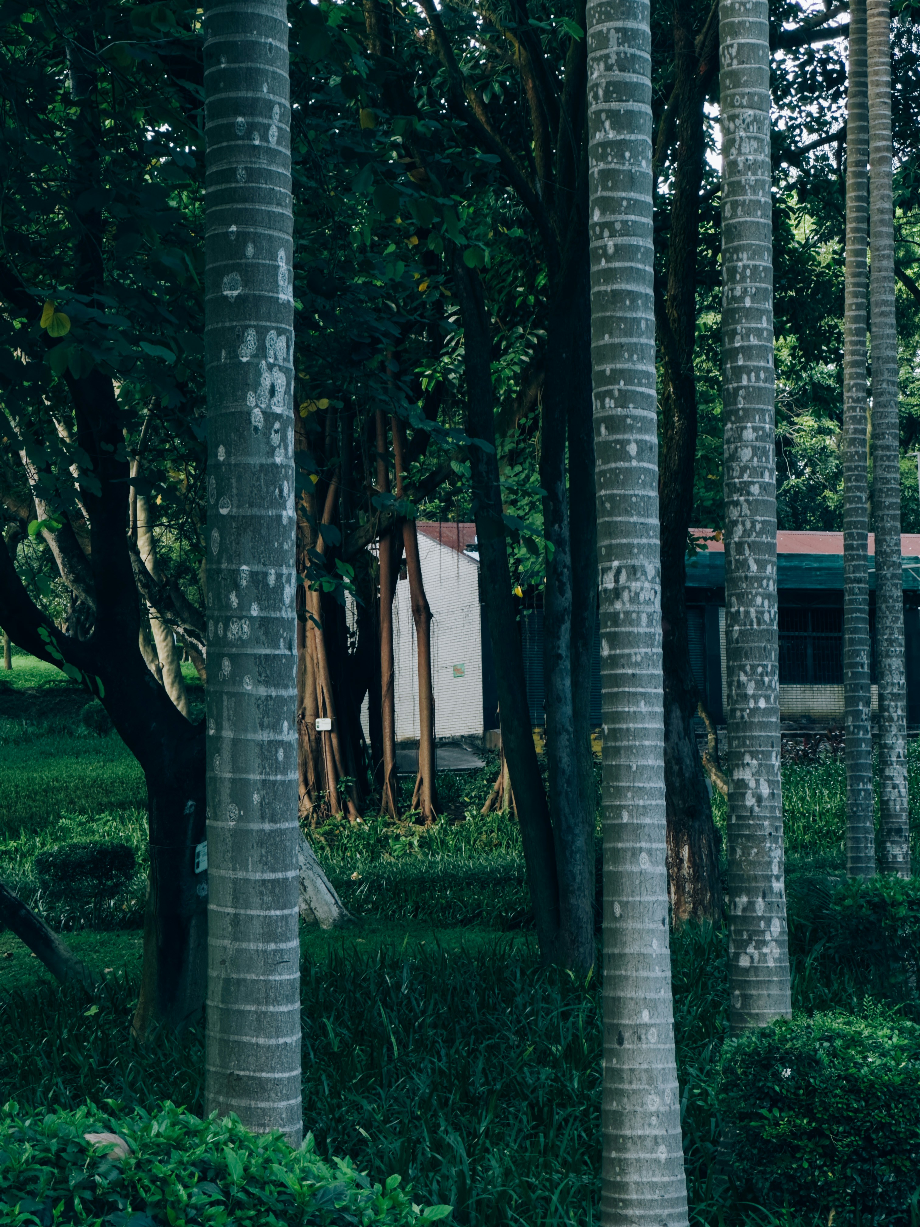 Photo by wangbinghua