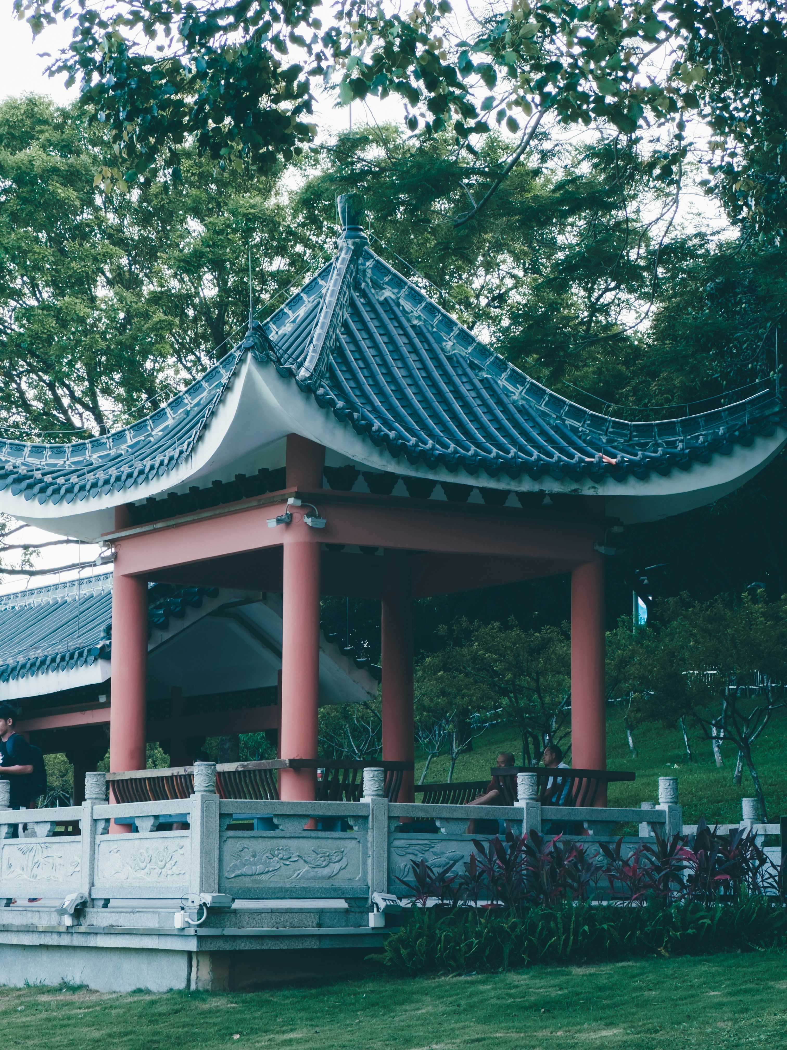 Photo by wangbinghua