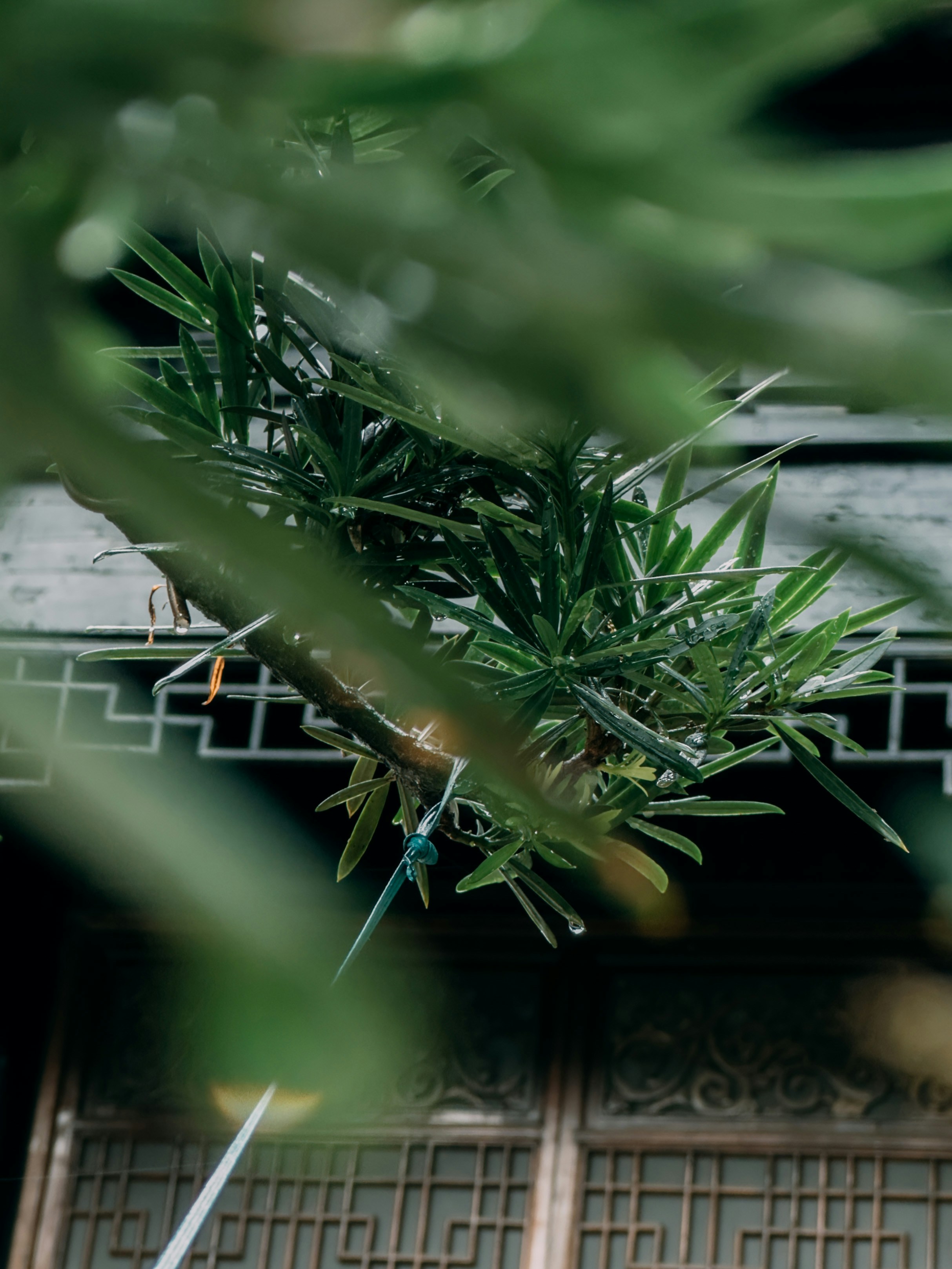 Photo by wangbinghua