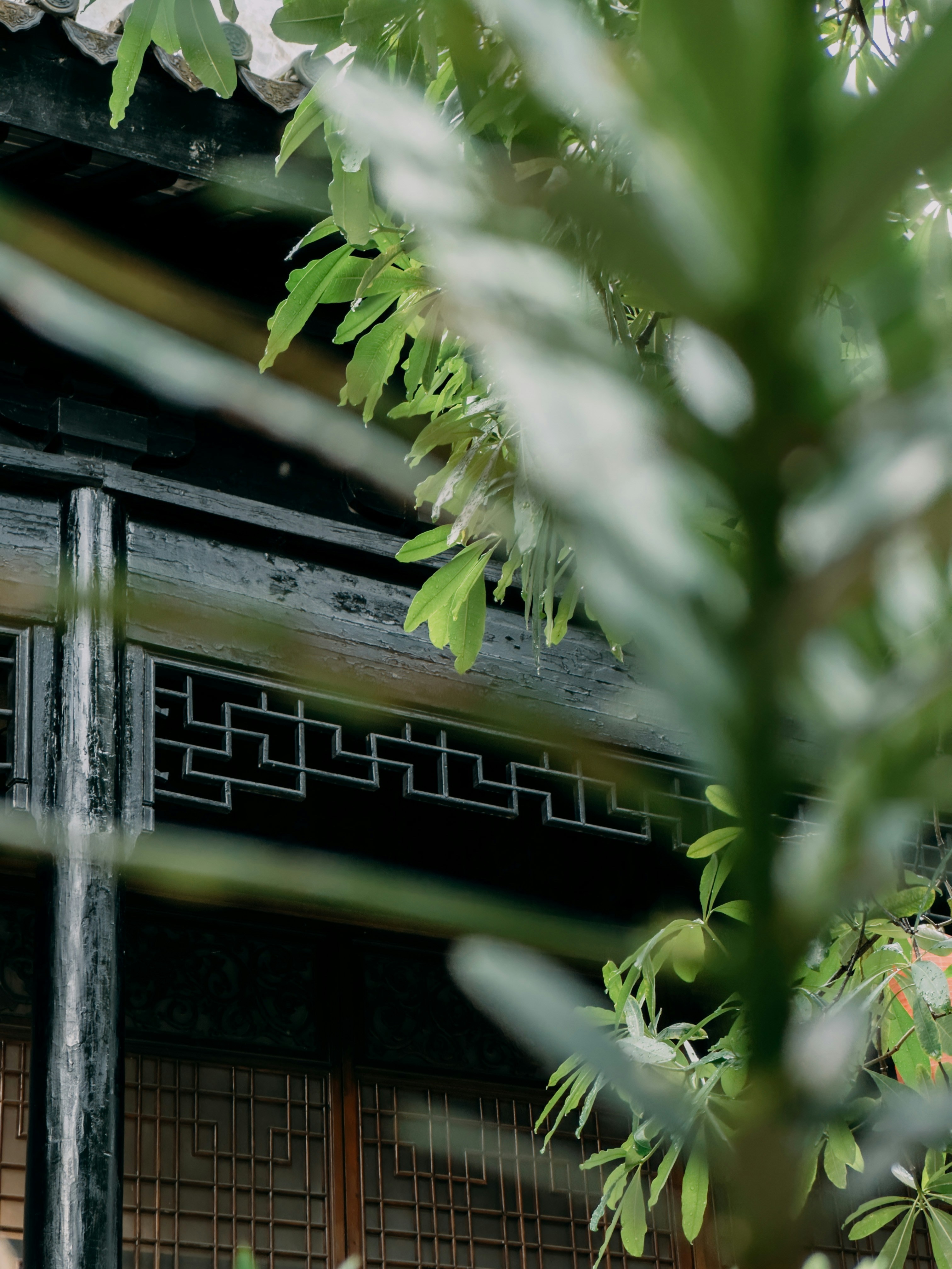 Photo by wangbinghua