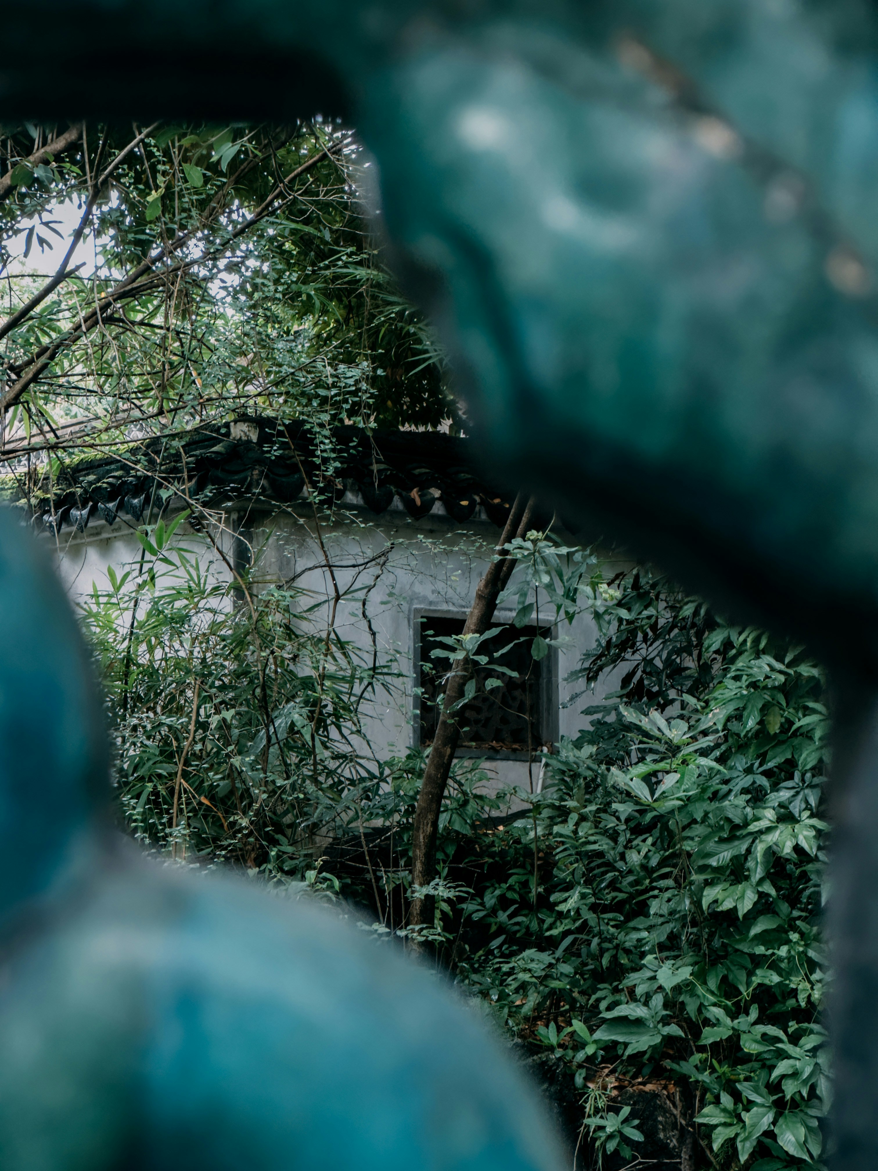 Photo by wangbinghua