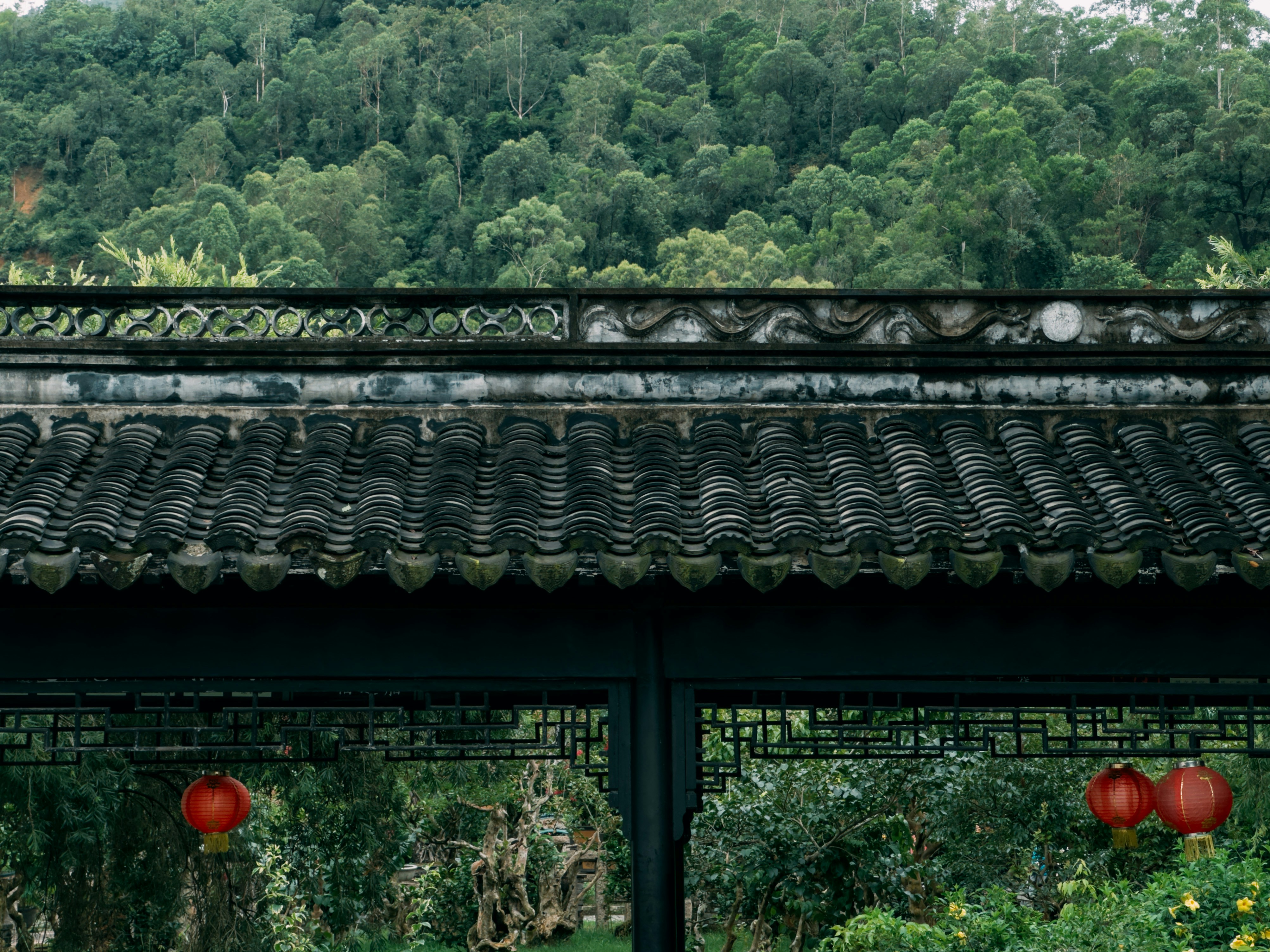 Photo by wangbinghua