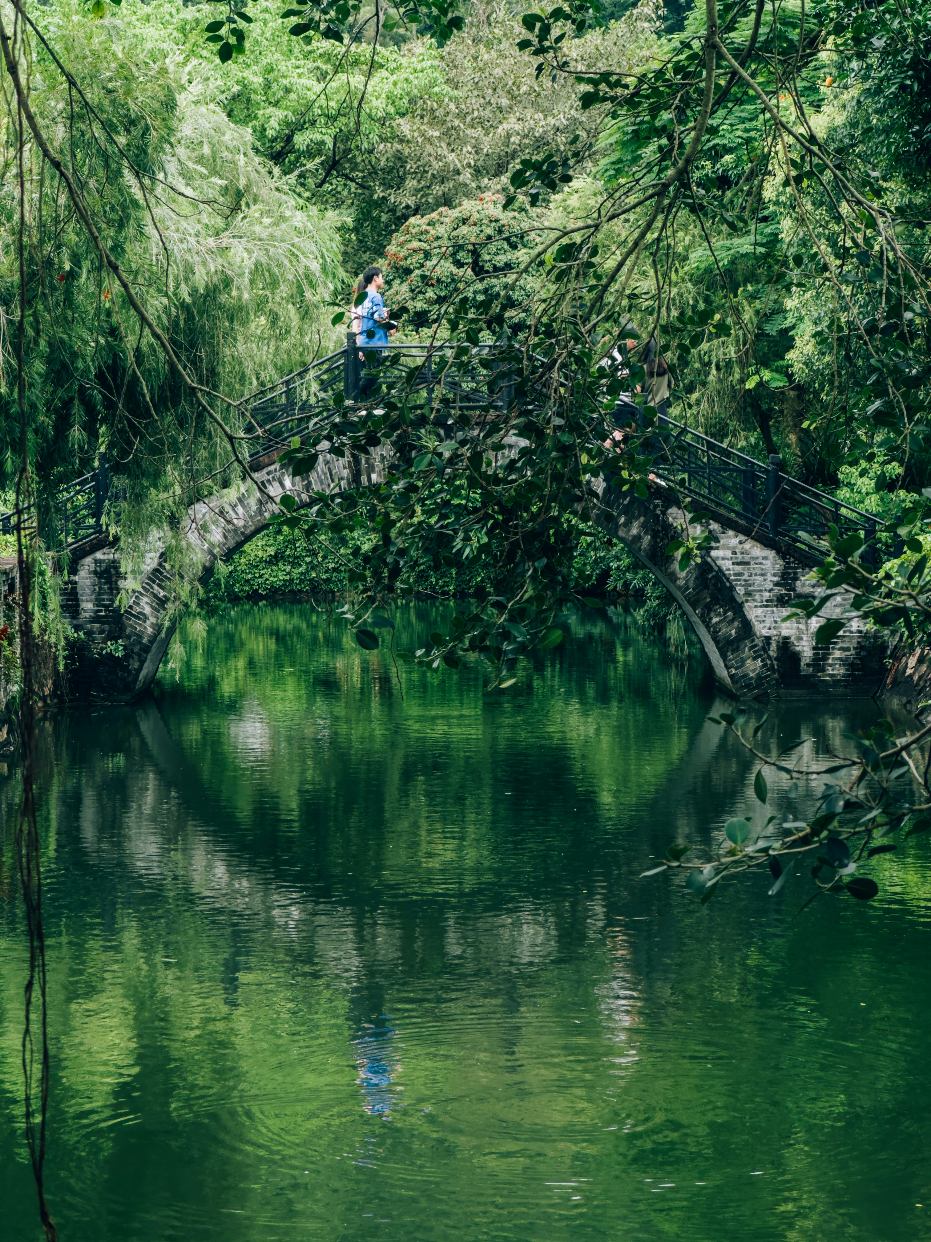 Photo by wangbinghua